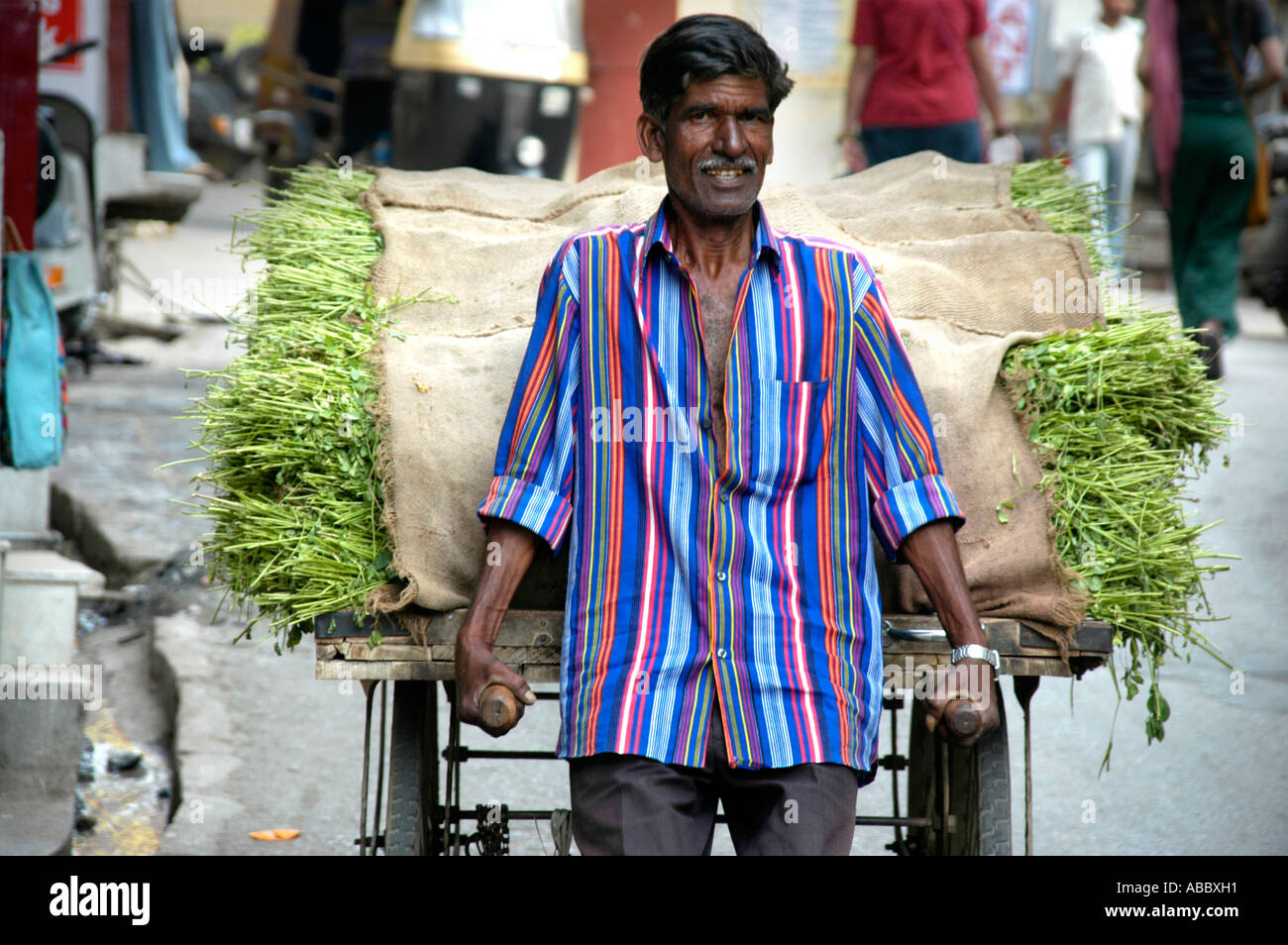 L'homme Indien avec une chemise colorée pousse une brouette remplie de gras Udaipur Rajasthan Inde Banque D'Images
