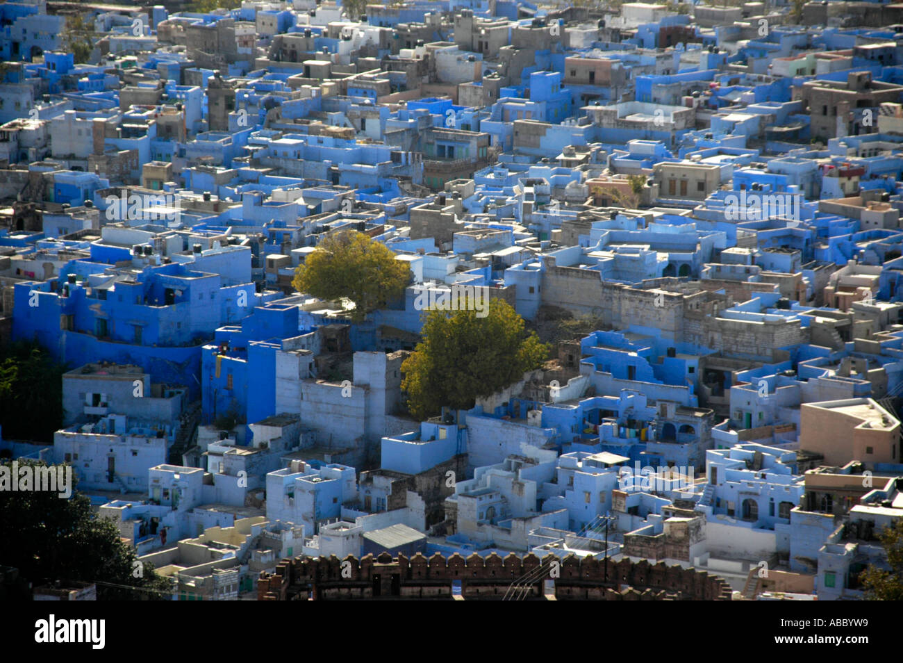 Vue sur les maisons de la ville bleue Jodhpur Rajasthan Inde Banque D'Images
