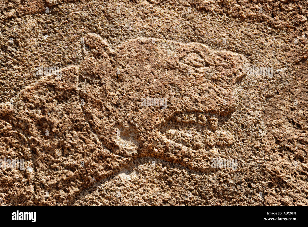 Soulagement en pierre ancienne Gobedra la tête de lion les détails d'une carrière à proximité d'Axoum en Ethiopie Banque D'Images