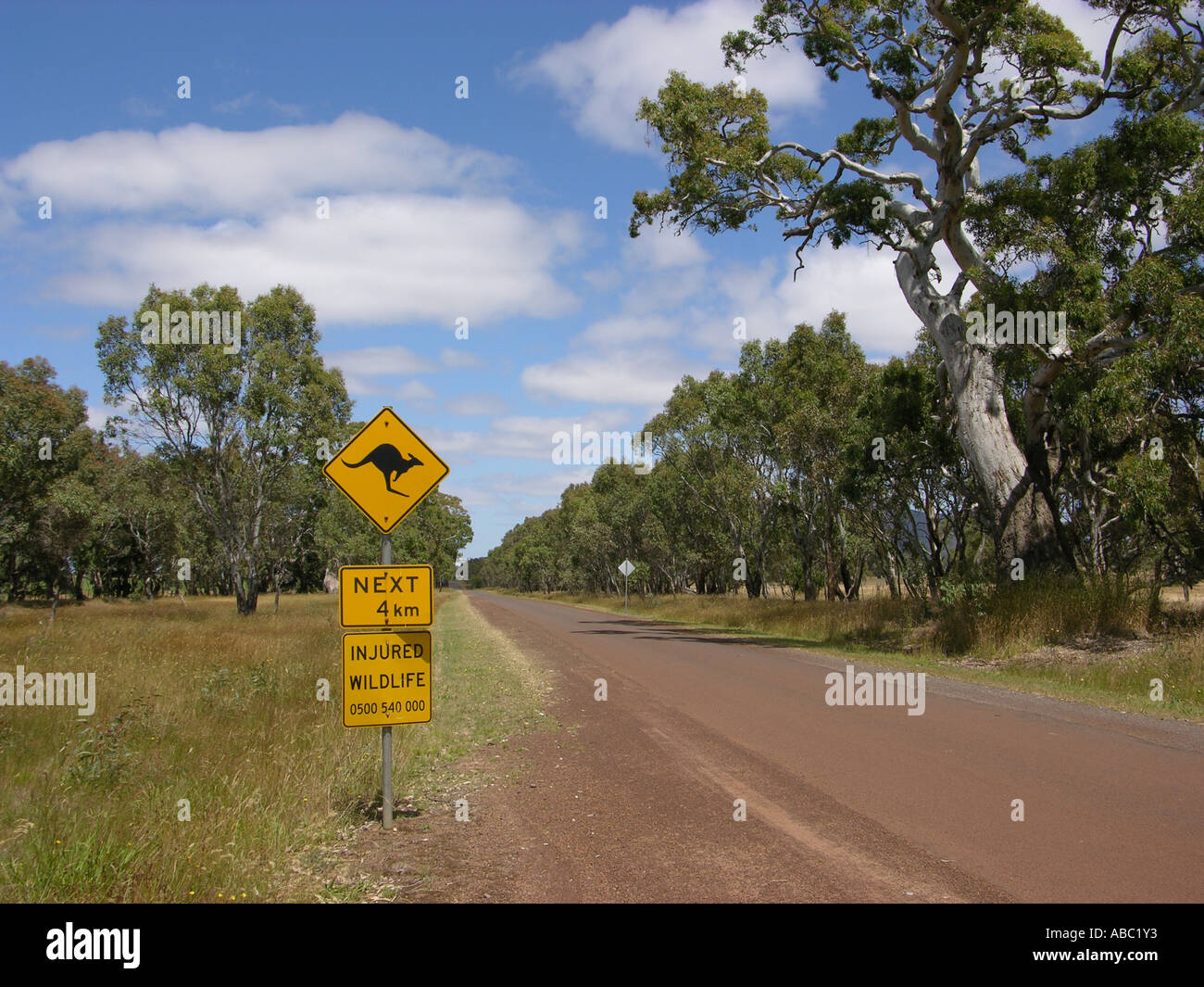 Route australienne typique avec avertissement de kangourou, Australie du Sud, Australie Banque D'Images