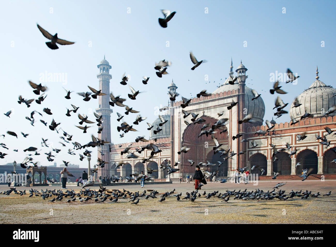 Mosquée Jama Masjid où les visiteurs se nourrissent les pigeons plus grande mosquée de l'Inde Delhi Inde Banque D'Images