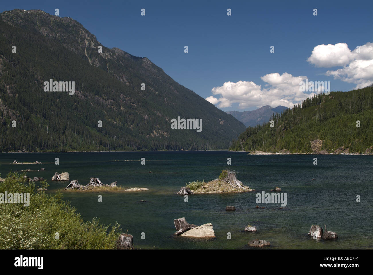 Magnifique entouré de montagnes Buttle Lake Parc provincial Strathcona de l'île de Vancouver, British Columbia Canada Banque D'Images