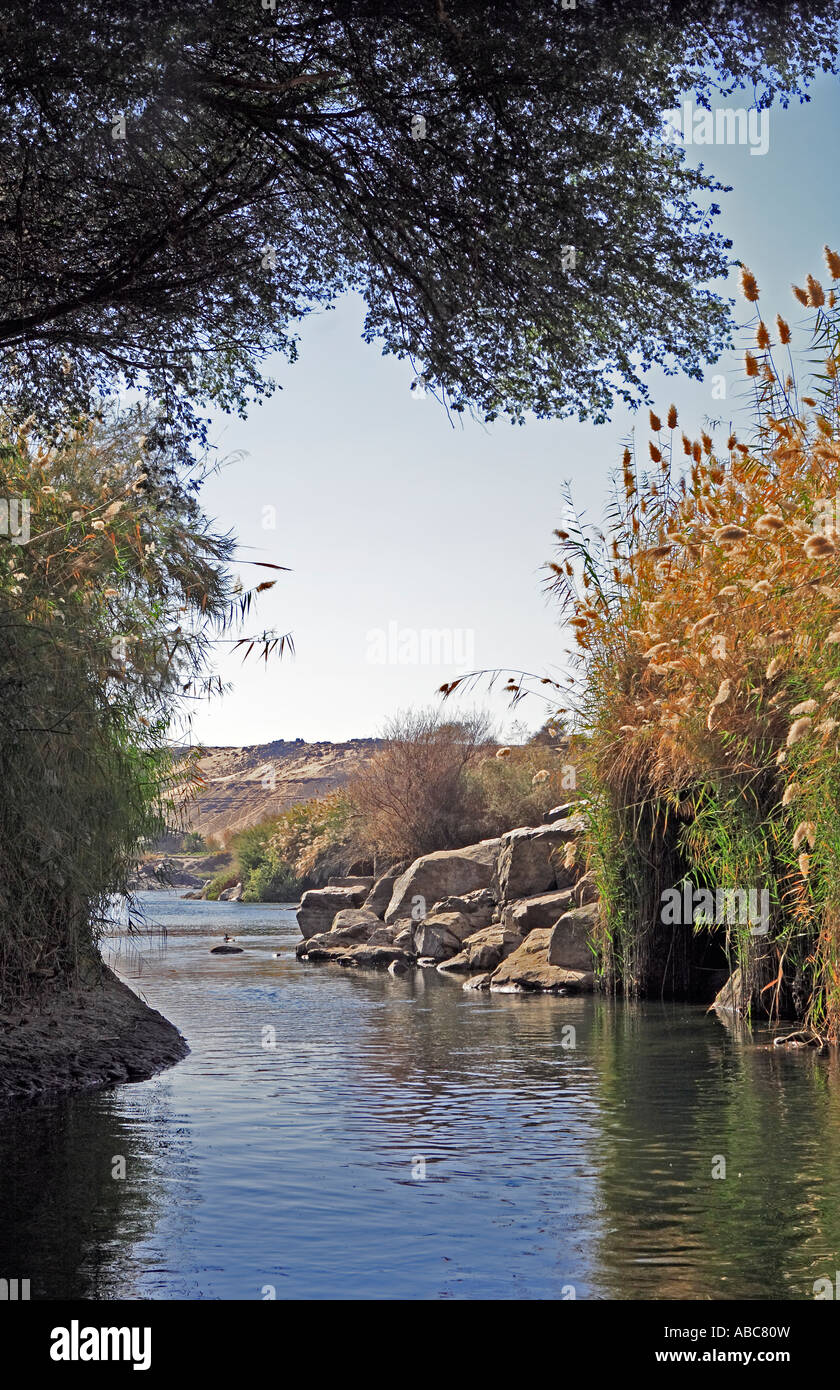 Cataracte sur le Nil en Egypte près de aswan Banque D'Images