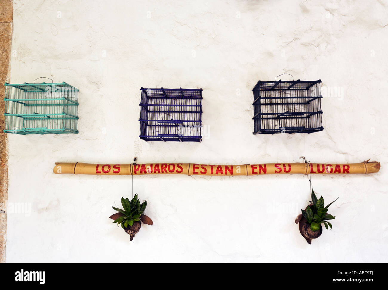 Les cages à oiseaux vide debout sur le mur avec cette phrase en espagnol les oiseaux sont à leur place Banque D'Images