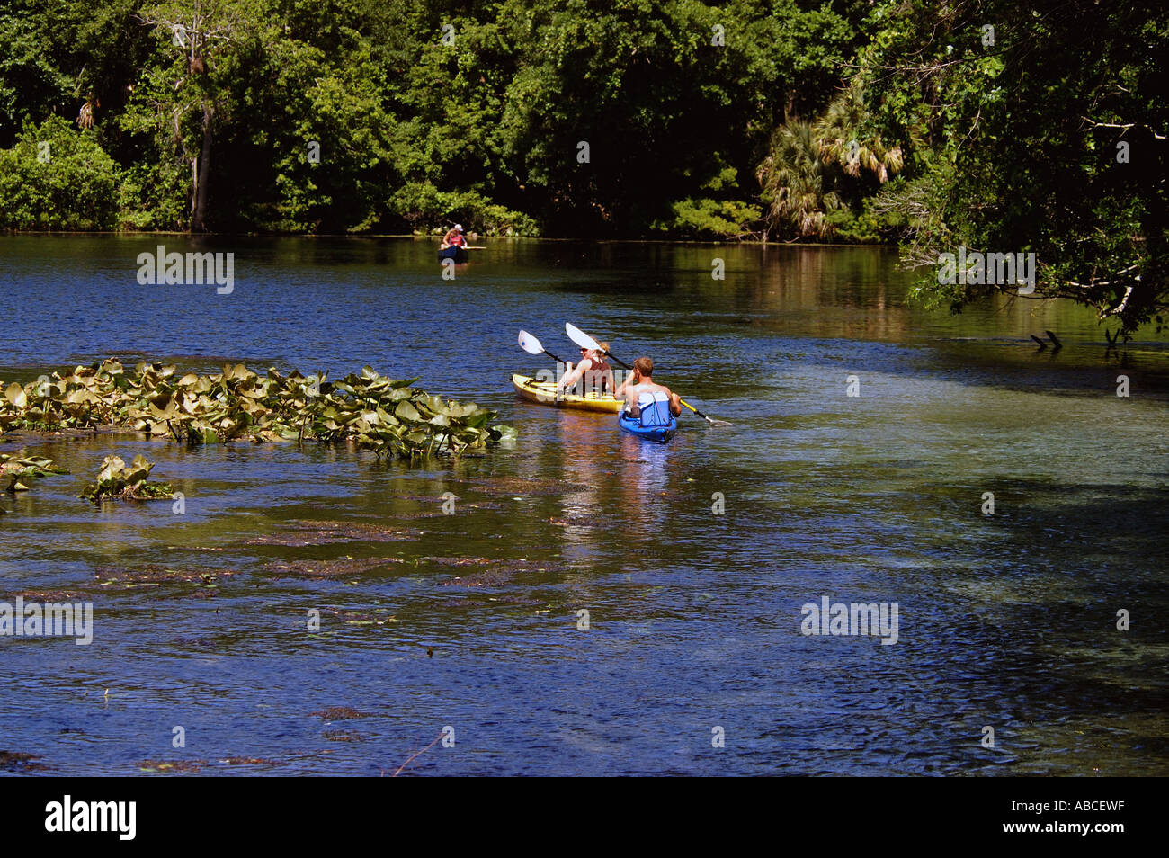 Région d'Orlando la Floride kayak Wekiwa Springs State Park, l'eau douce printemps nature loisirs sports plein air Banque D'Images