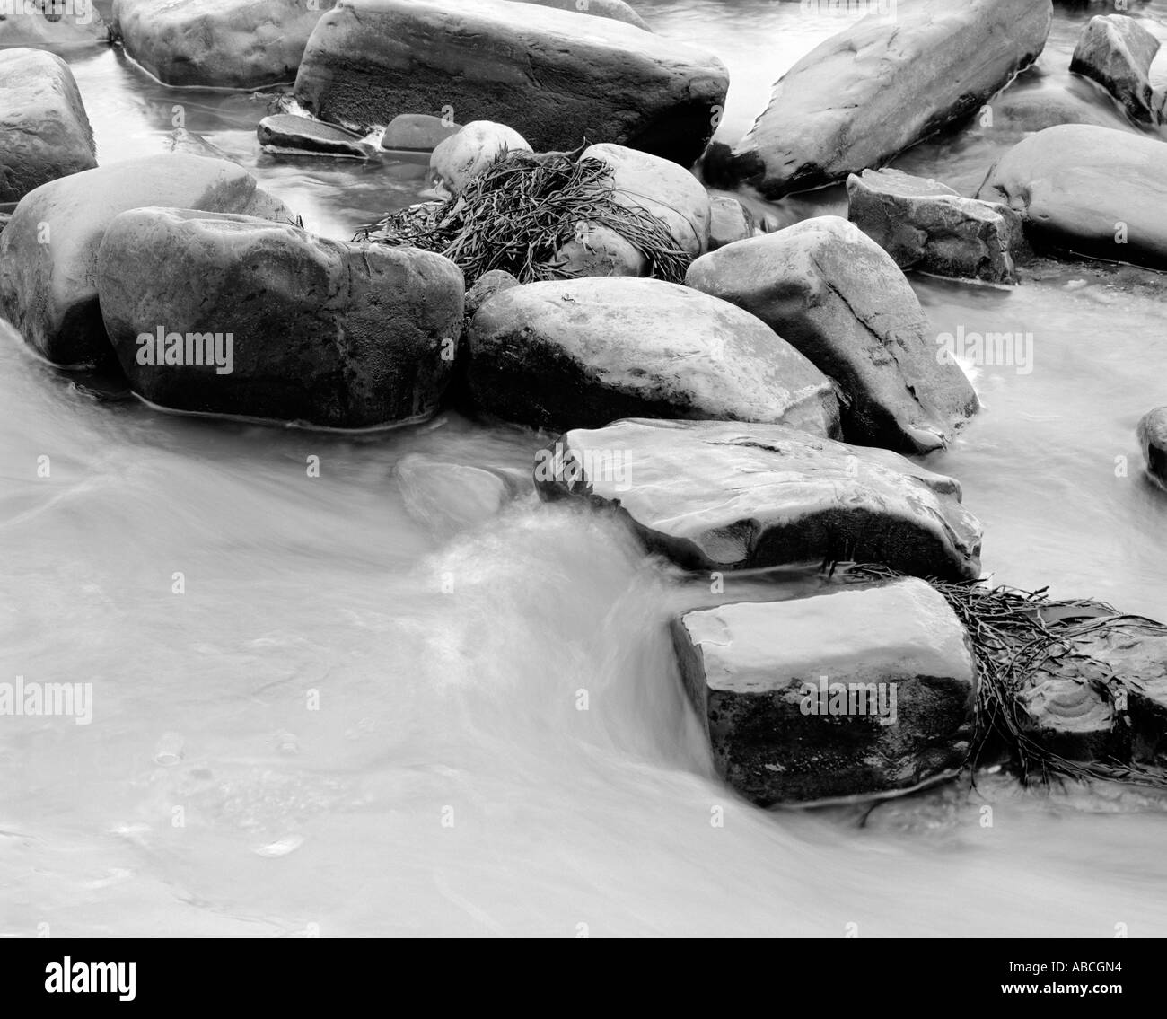 Purbeck Dorset UK Kimmeridge Bay Banque D'Images