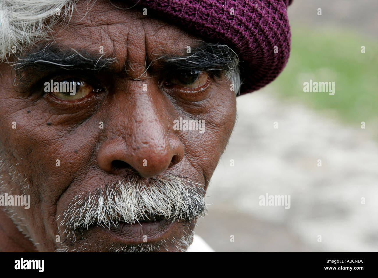 Close up Portrait Of Man Munnar Kerala Inde Banque D'Images