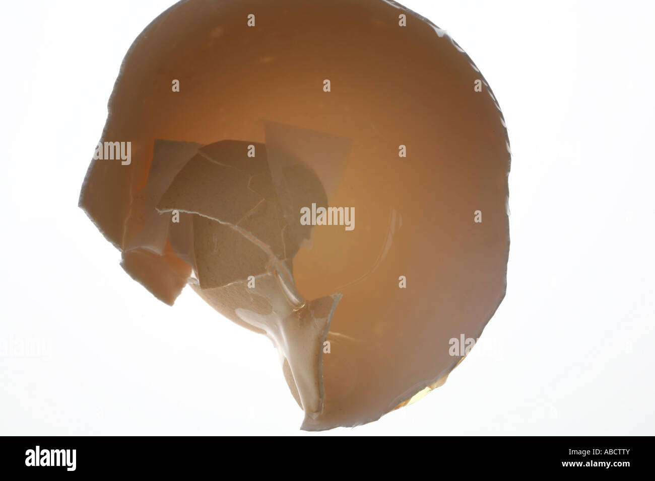 Coquille d’oeuf Banque D'Images