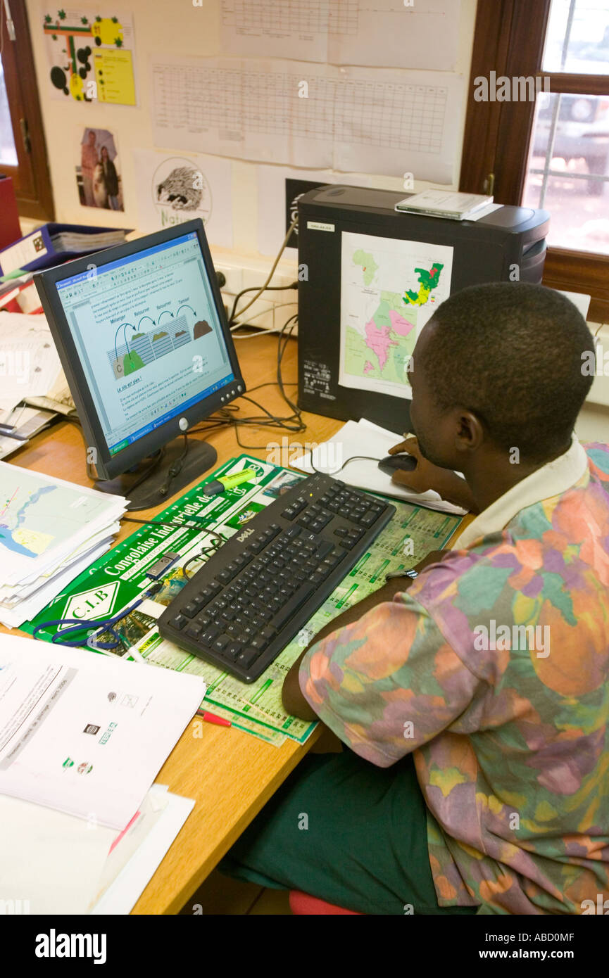 Employée de bureau à scierie dans la République du Congo Banque D'Images