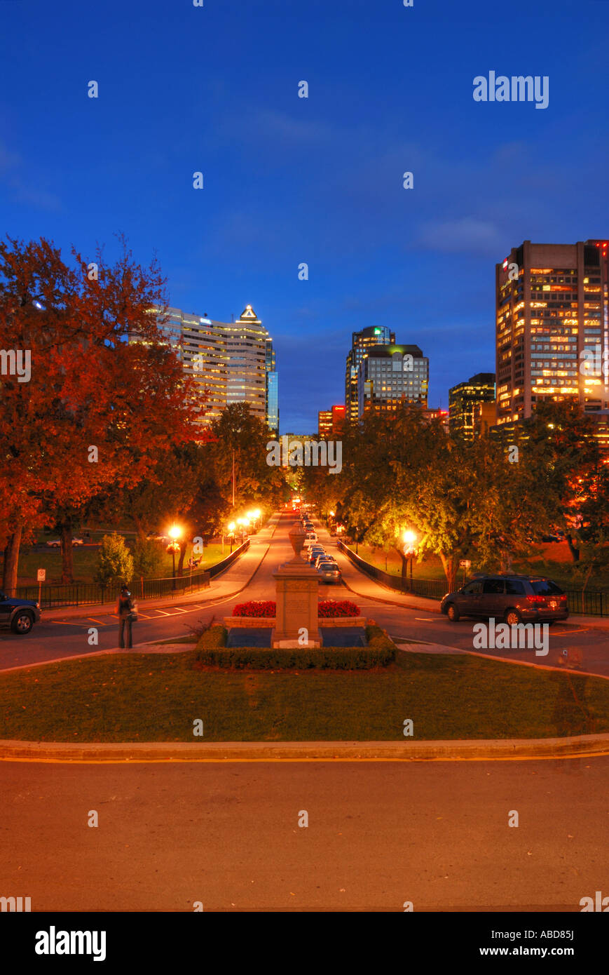 Heure bleue sur les toits de Montréal vu de l'Université McGill motif - verticale Banque D'Images
