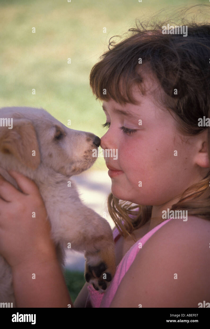 Sweet Jeune fille 5-7 ans nez à nez face à face Golden holding puppy jusqu'enfant jouant jouer joue profil chien Vue de côté M. ©Myrleen Pearson Banque D'Images