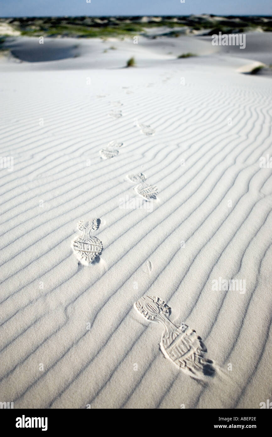 Empreintes de pieds dans les dunes à Monahans Sandhills State Park dans l'ouest du Texas Banque D'Images