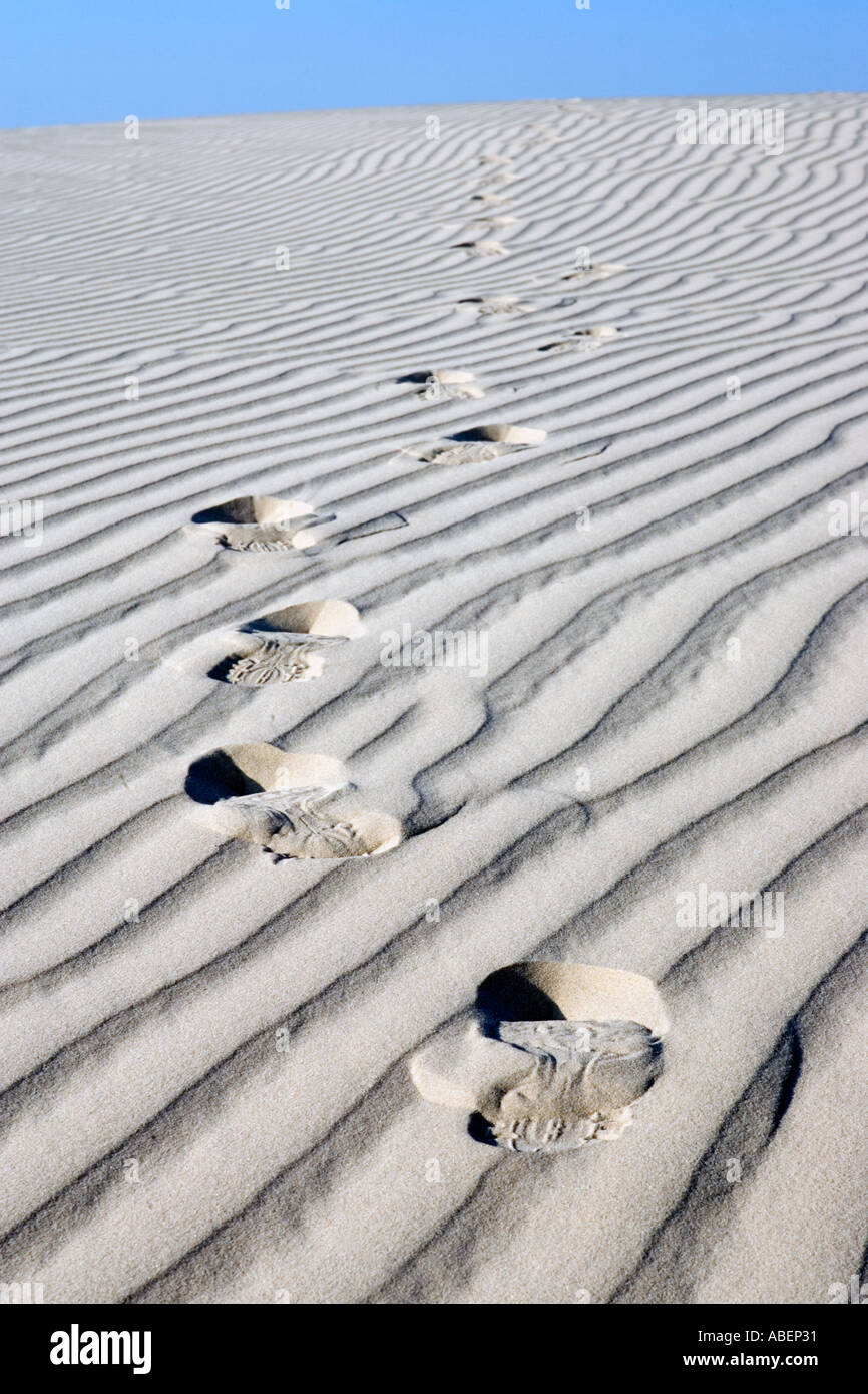 Empreintes de pieds dans les dunes à Monahans Sandhills State Park dans l'ouest du Texas Banque D'Images