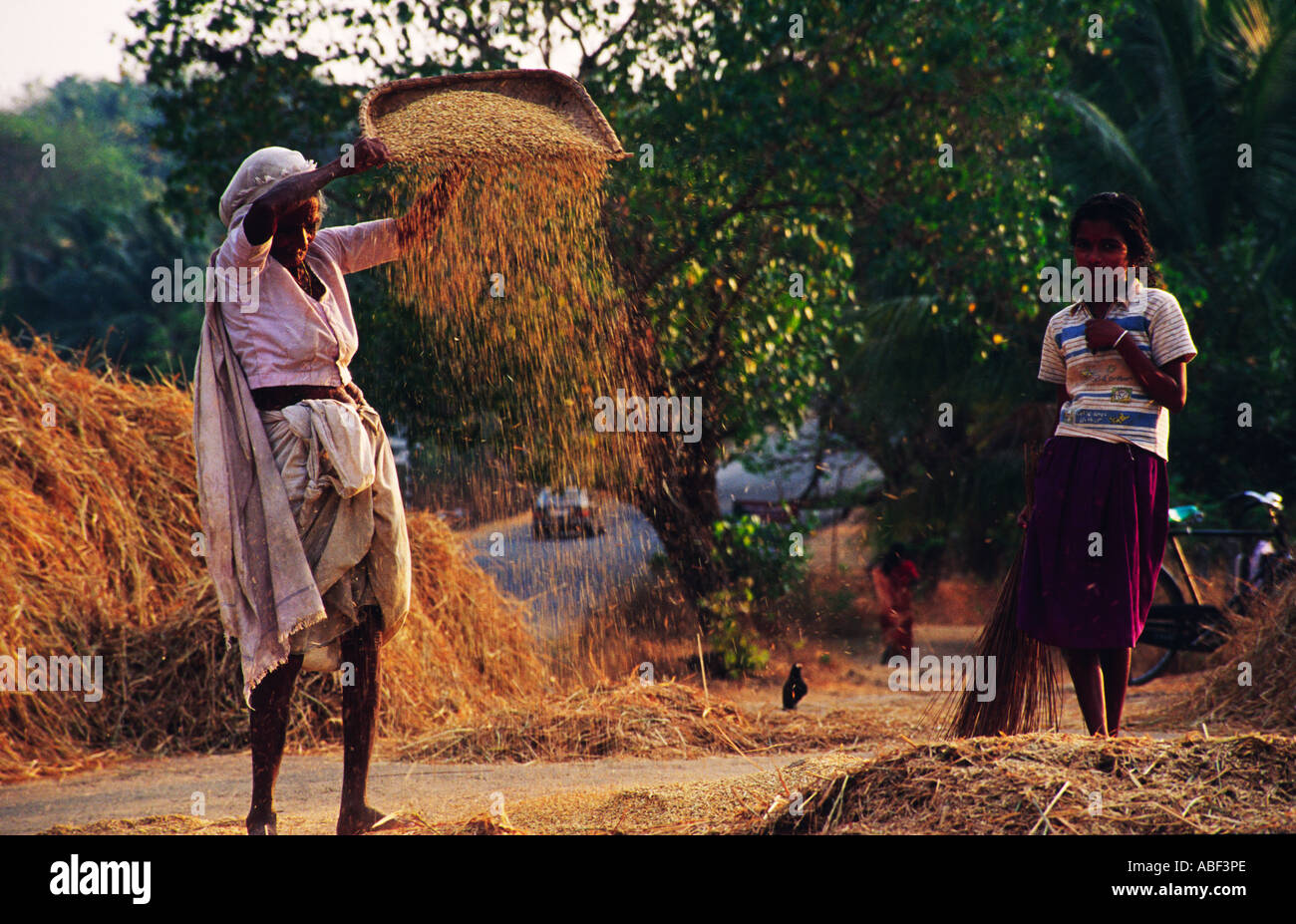 Une vieille dame et sa petite fille prépare les grains de riz dans le vent, l'Inde, le Kerala Banque D'Images