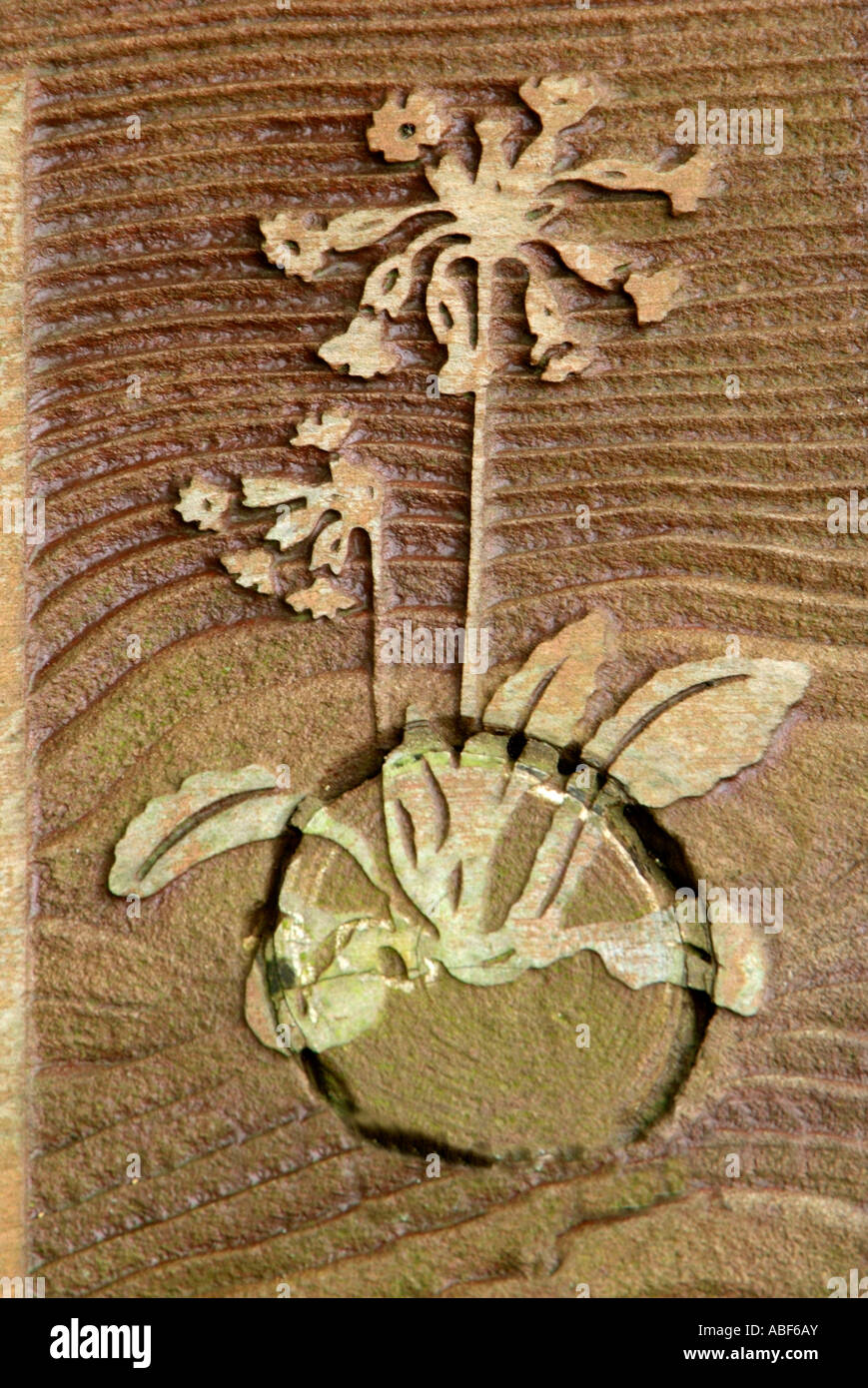 Primula veris coucou bleu fleur sauvage wood grain British UK brun nature symbole sculpture haut-relief naturel sign Banque D'Images