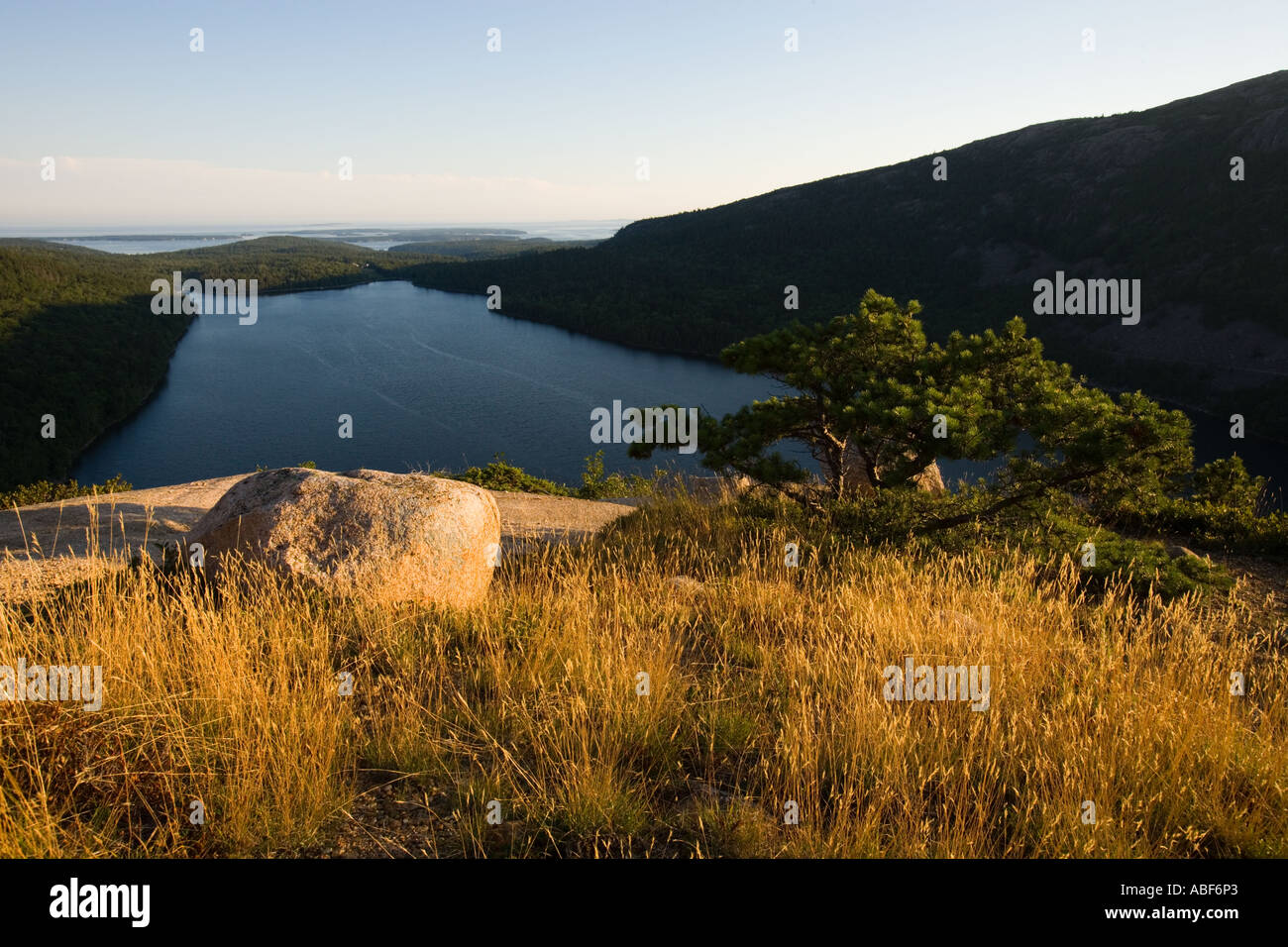 L'herbe sur le sommet de la Montagne de la bulle du Sud dans le Maine s'Acadia National Park Jordan Pond est ci-dessous Banque D'Images