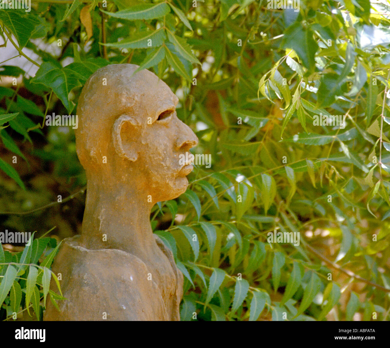 Une sculpture en terre cuite d'une tête de l'homme placé à côté d'une usine de neem représentant symboliquement le lien entre l'homme et la nature Banque D'Images