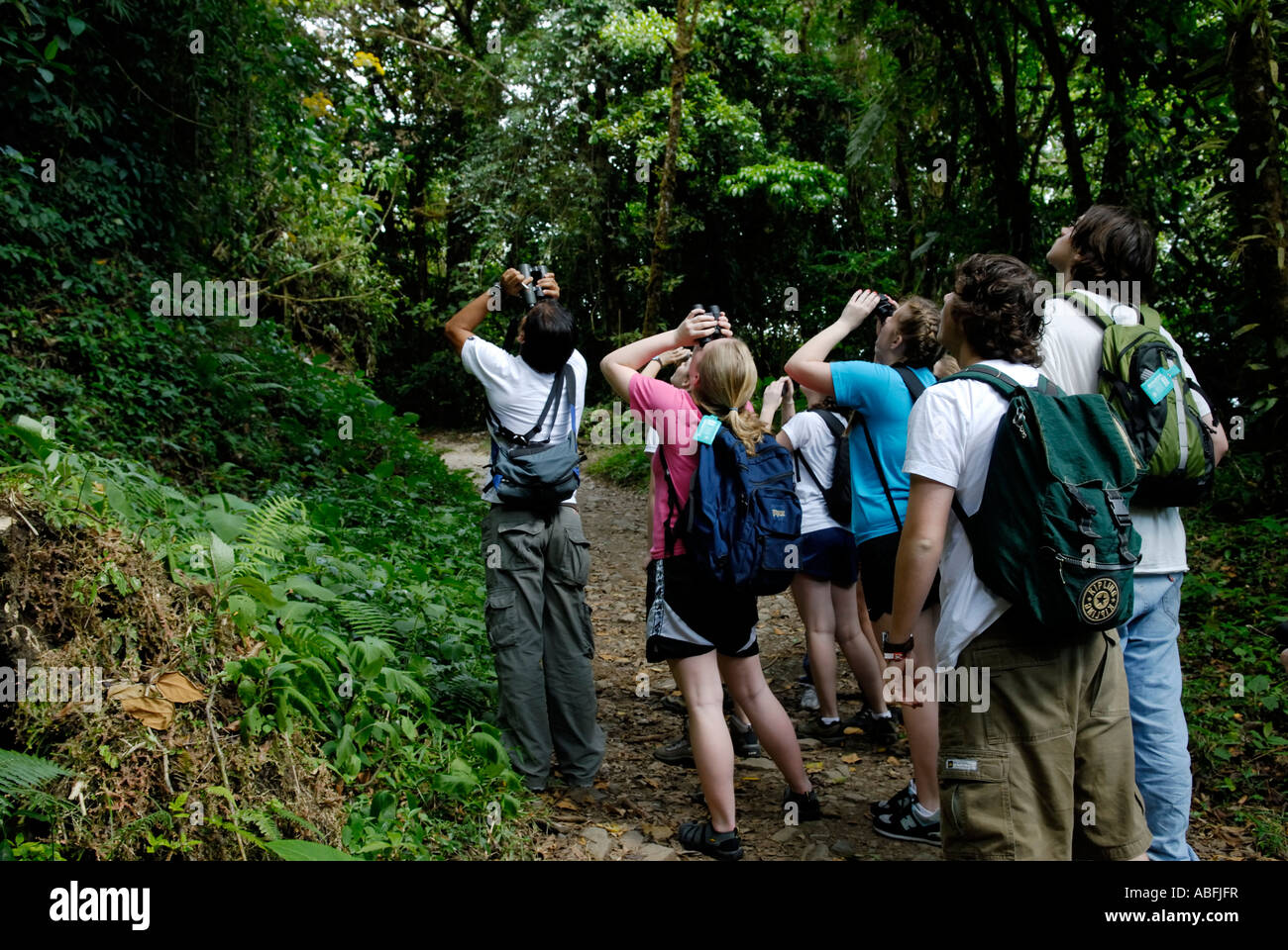 Les écotouristes jeunes sur un voyage d'étudiant avec un guide naturaliste du Costa Rica l'observation de la faune dans la Forêt Nuageuse de Monteverde Banque D'Images