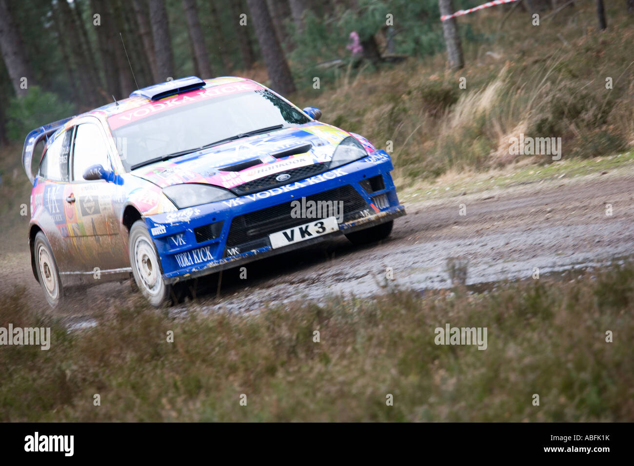 Ford Focus bleu voiture rallye action de conduite à grande vitesse sur la boue et le gravier à travers forêt de pins Banque D'Images