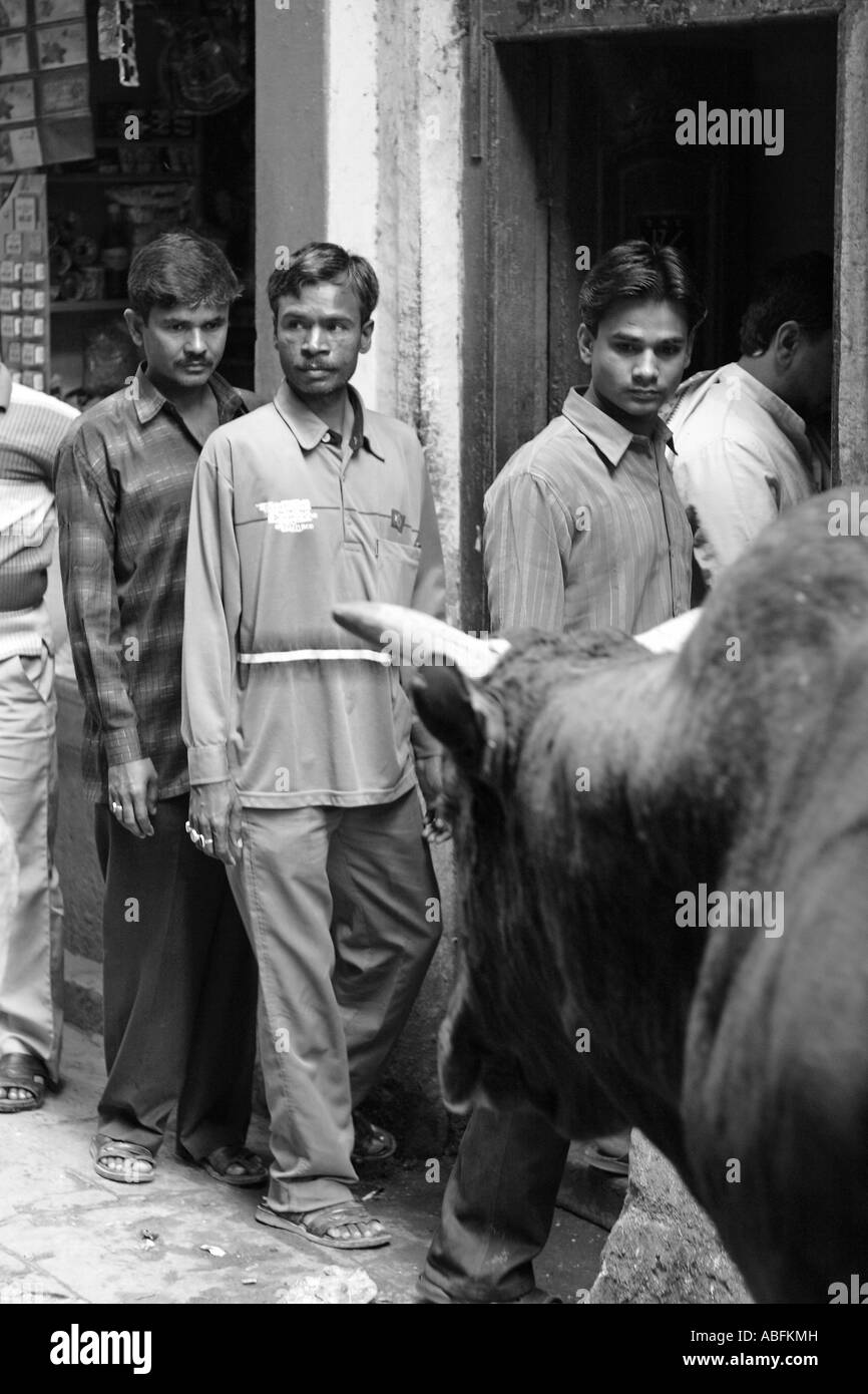 Les gens se déplacent de côté un taureau pousse son chemin à travers un petit allié à Varanasi, Inde Banque D'Images