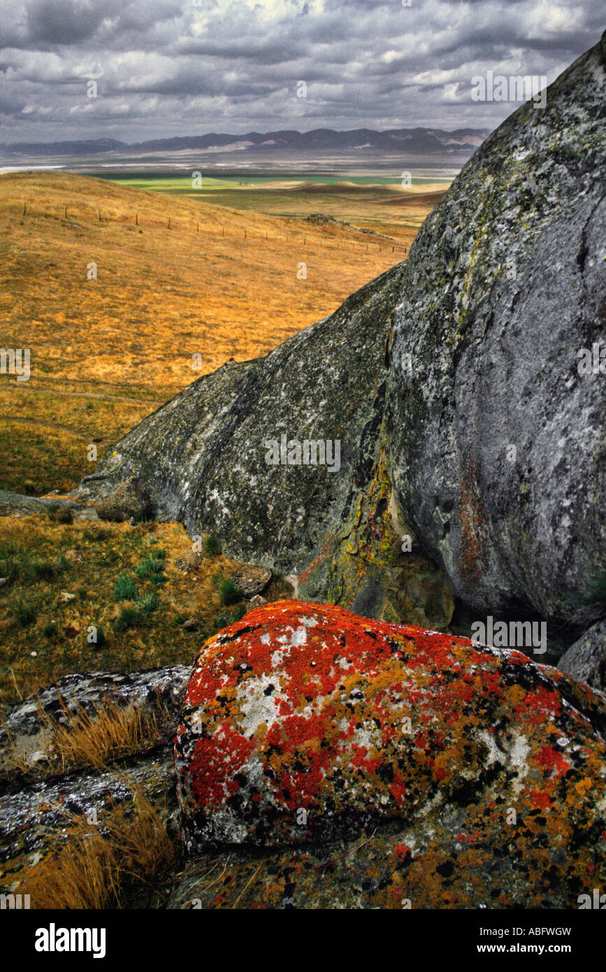 Blocs colorés et les plaines Carrizo Monument National. Banque D'Images