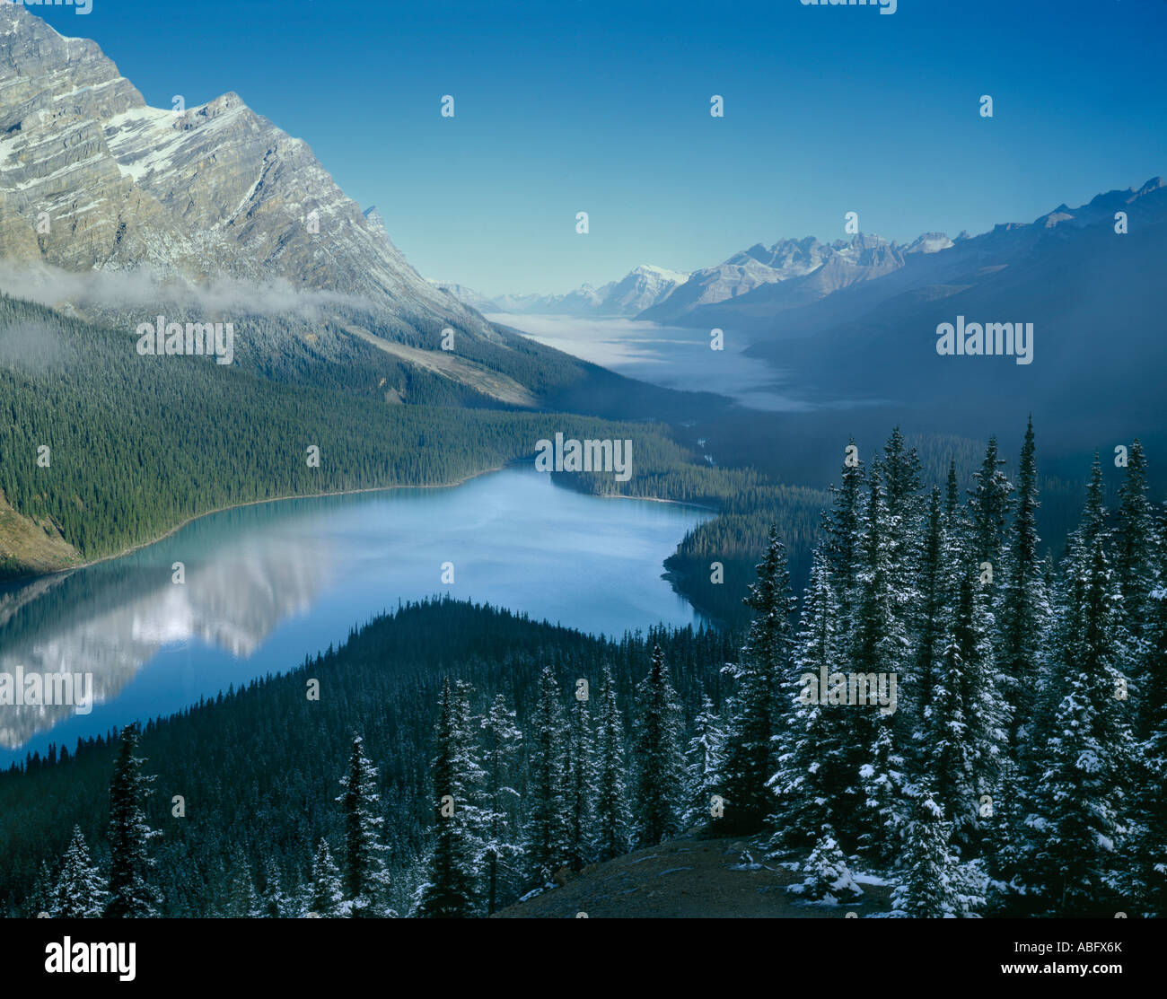 Le lac Peyto, BANFF NATIONAL PARK, ALBERTA, CANADA Banque D'Images