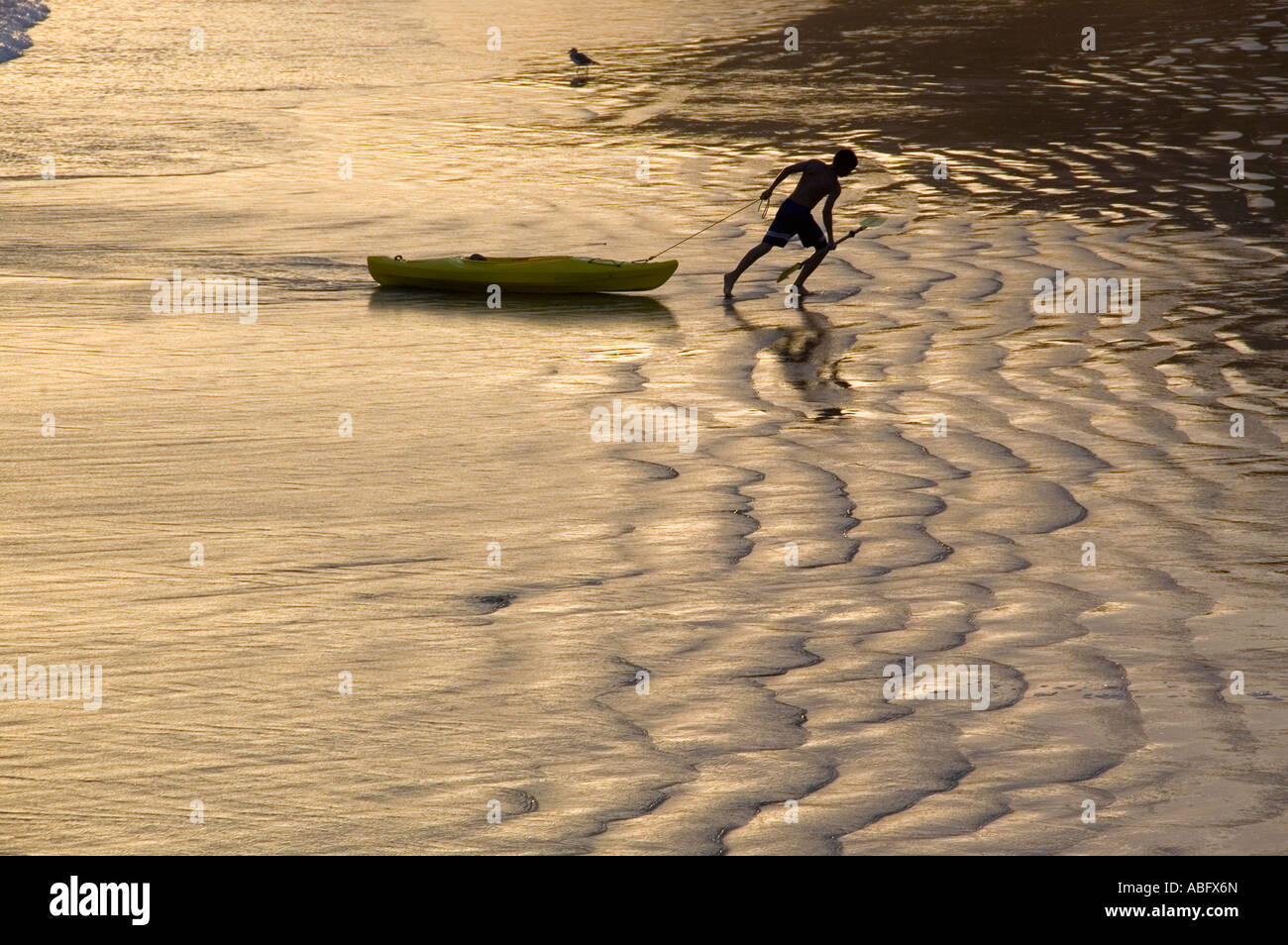 Un homme passe sa kayak sur le sable humide le long de la plage. Banque D'Images