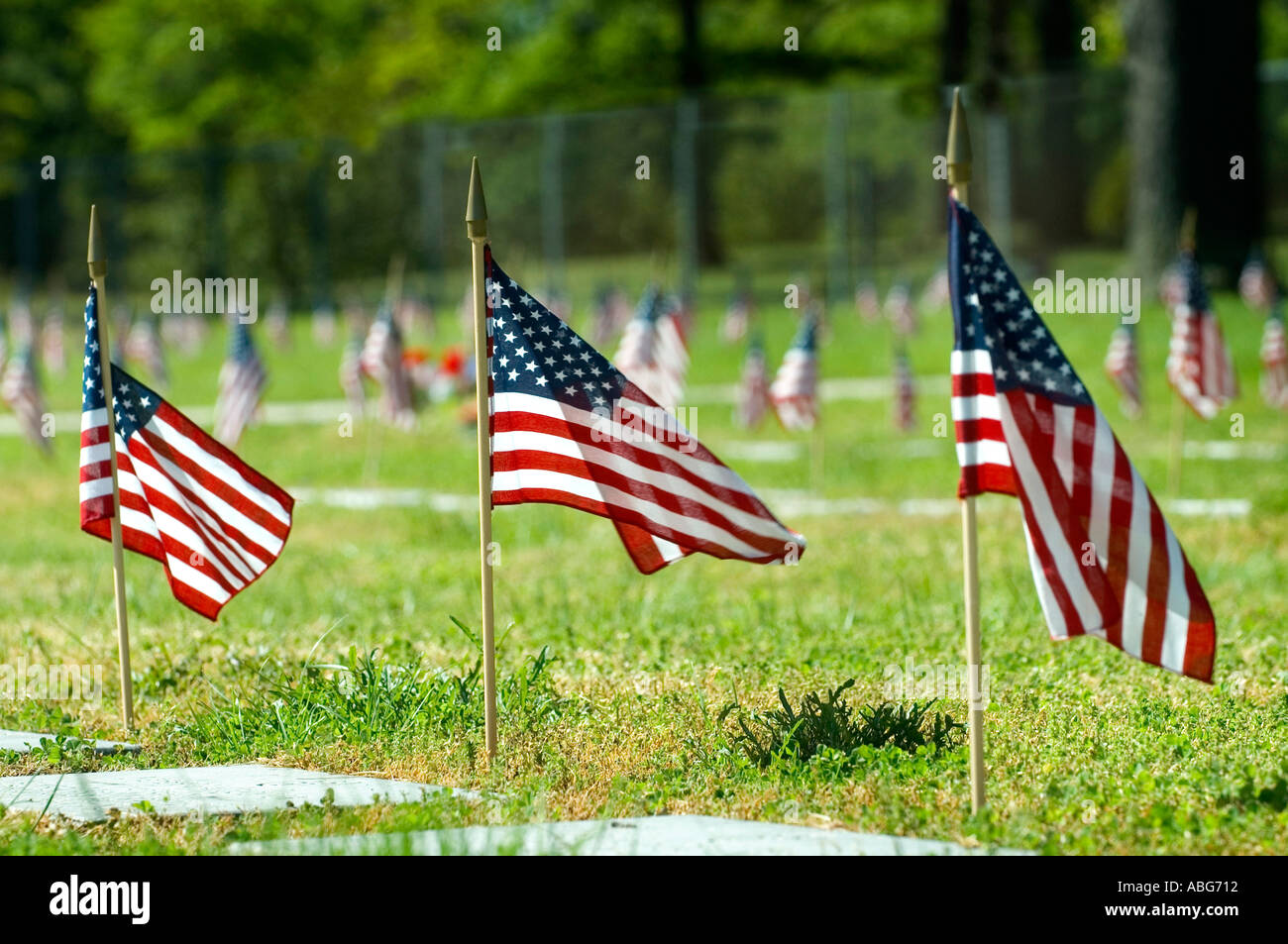 Beaucoup de petits drapeaux américains sur Memorial Day souvenir au cimetière un vétéran s Banque D'Images