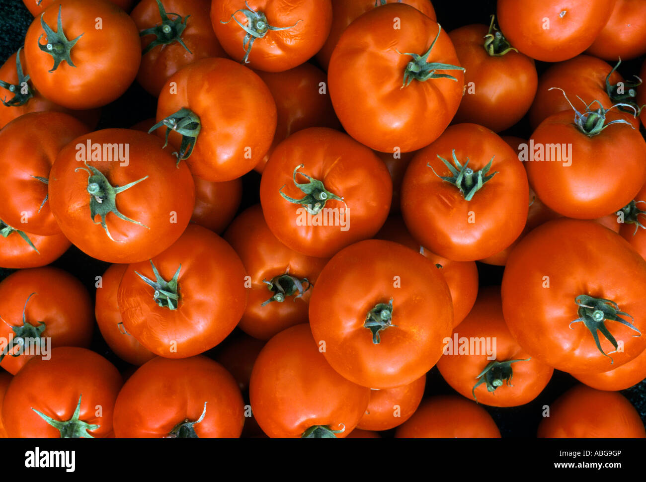 Des tomates pour la vente. Banque D'Images