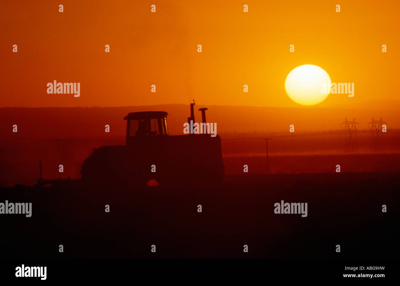 Un tracteur laboure un champ de la Californie alors que le soleil se couche. Banque D'Images