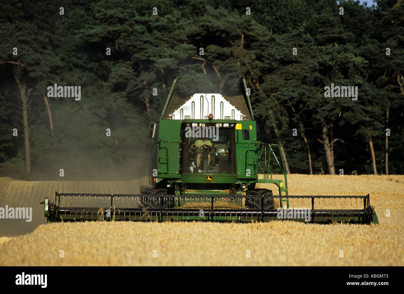 De coupe de moissonneuse-batteuse, blé Waldringfield, Suffolk, Angleterre. Banque D'Images