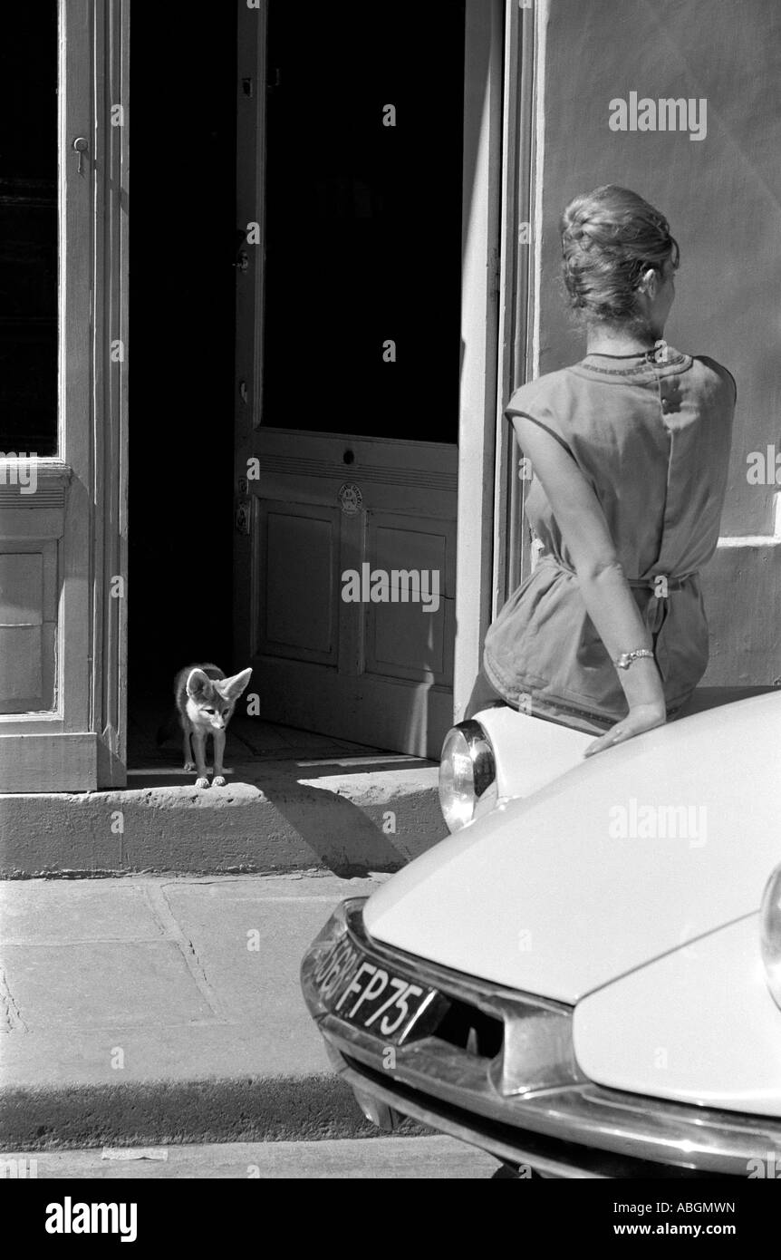 Parisienne girl avec fox Banque D'Images