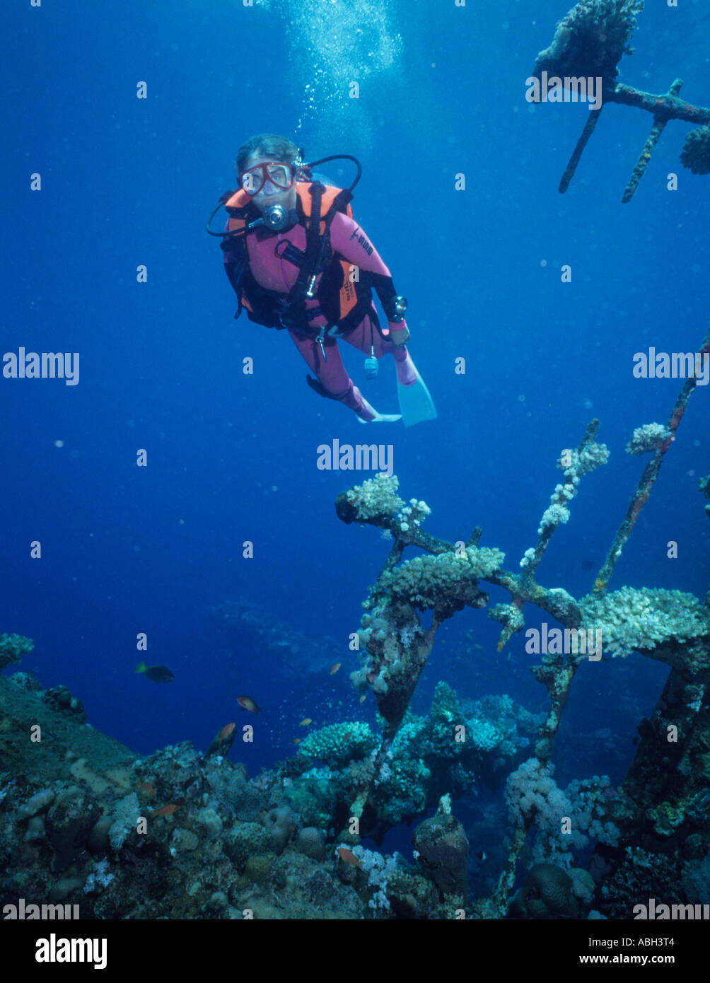 Babs Jackson plongée sur l'épave Umbria Port Soudan Wingate coralliens de l'Océan Indien Mer Rouge soudanais 10 070 tonnes sabordé 1206 1940 Banque D'Images