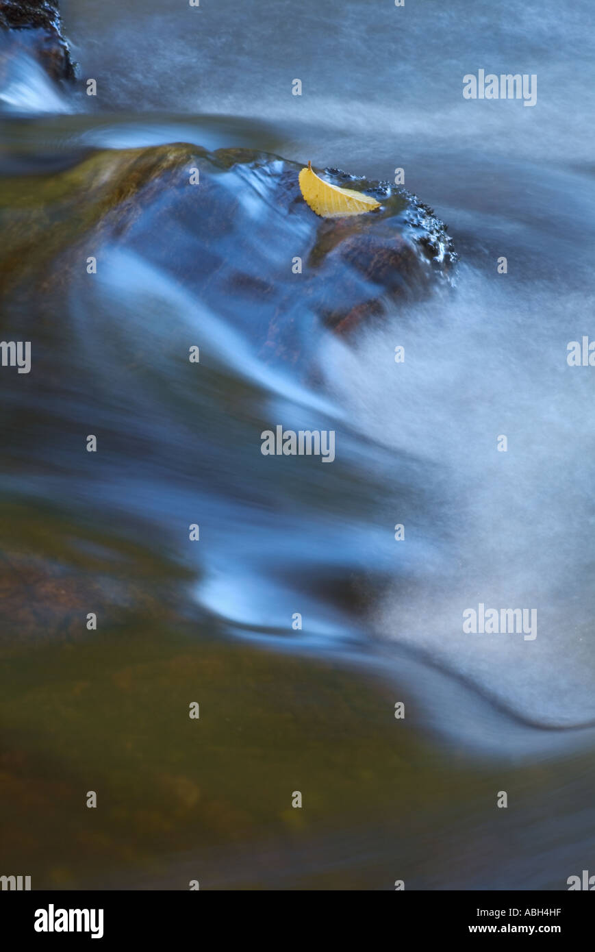 Feuille d'automne dans la rivière près de Dundonnell Wester Ross North Scotland UK GB EU Europe Banque D'Images