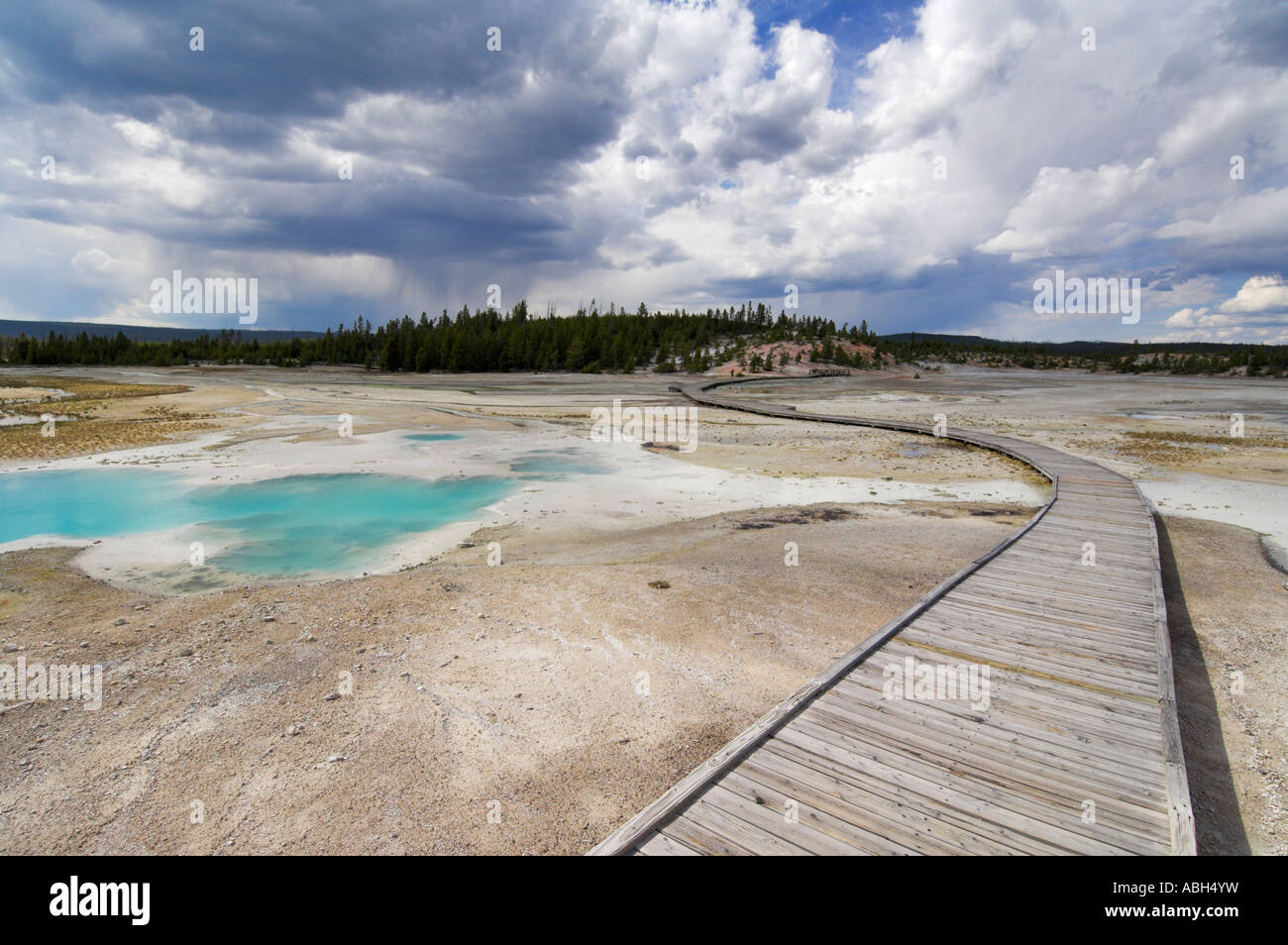 Lavabo en porcelaine lac crépitant Norris Geyser basin le Parc National de Yellowstone au Wyoming USA États-Unis d'Amérique Banque D'Images