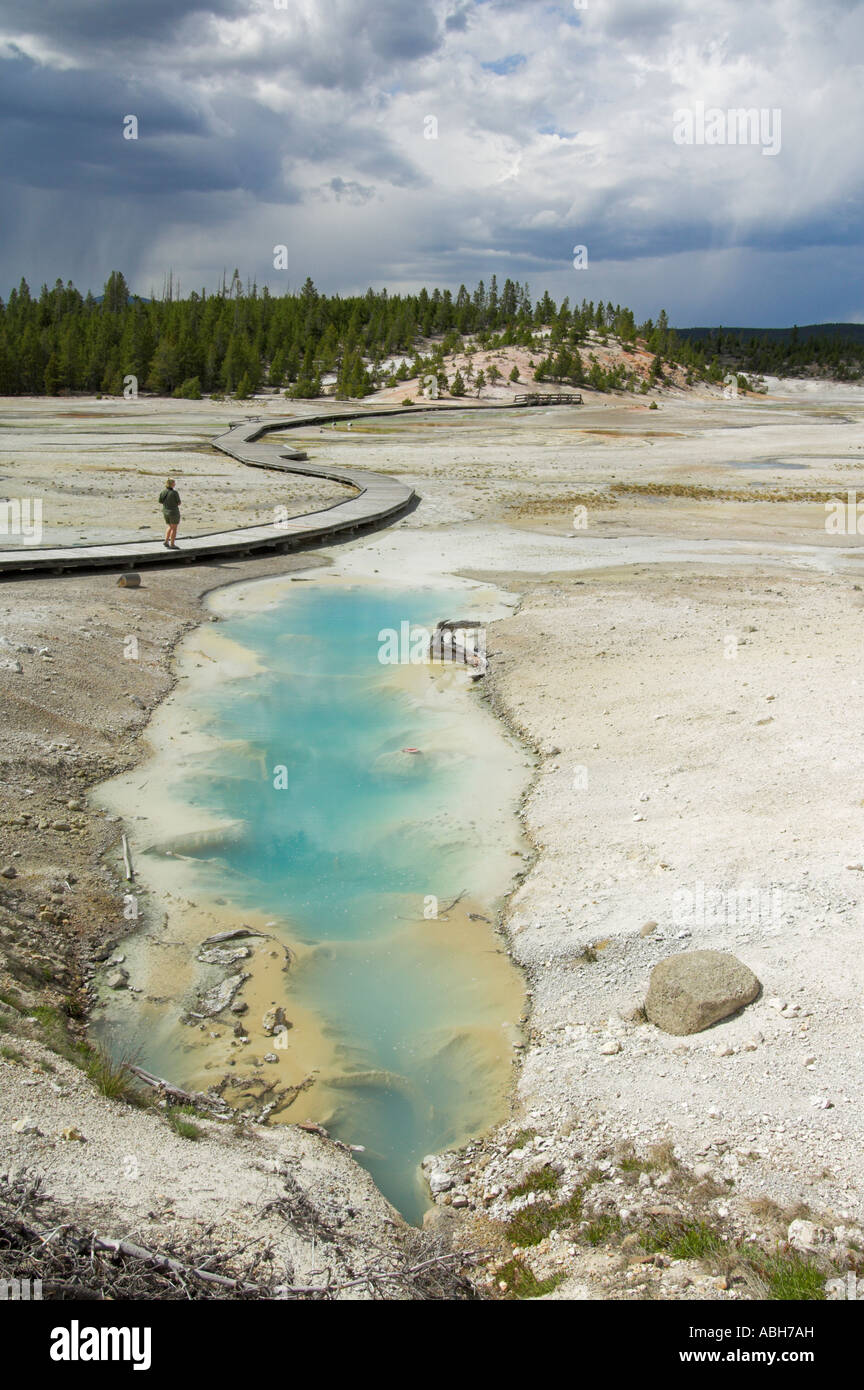 Bassin en porcelaine Norris Geyser basin le Parc National de Yellowstone au Wyoming USA États-Unis d'Amérique Banque D'Images