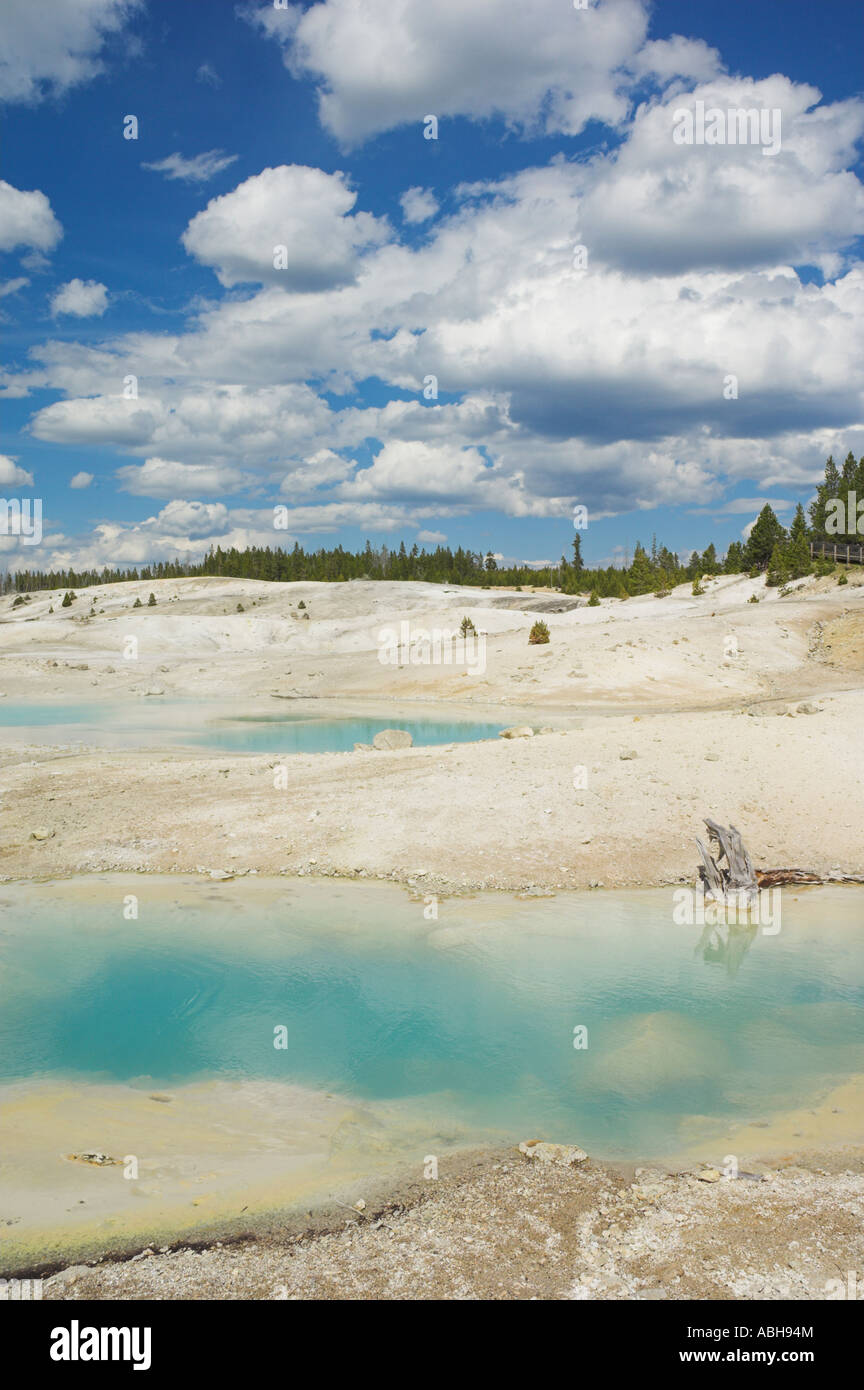 Bassin en porcelaine Norris Geyser basin le Parc National de Yellowstone au Wyoming USA États-Unis d'Amérique Banque D'Images