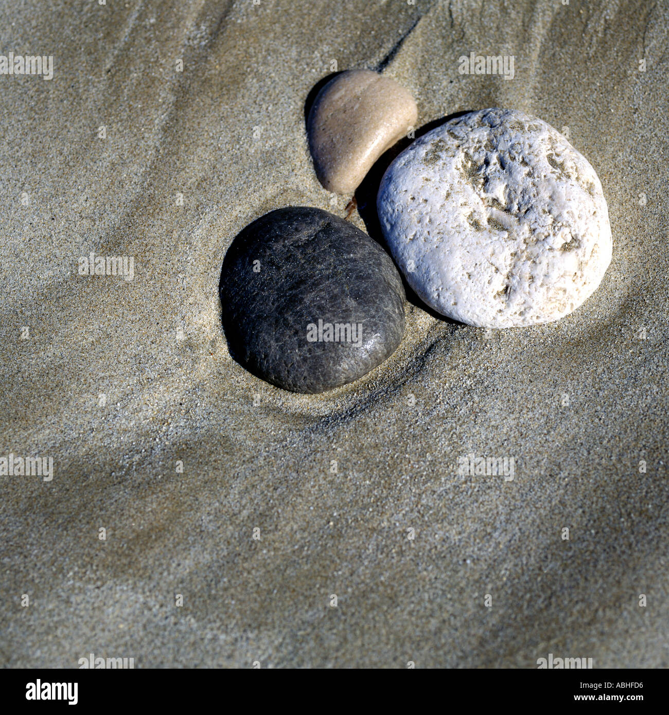 Trois cailloux dans le sable humide Banque D'Images