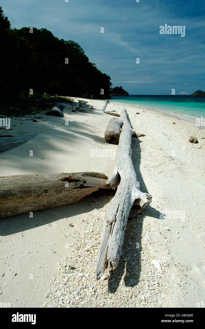 Petite île de Raja Ampat, Indonésie Banque D'Images