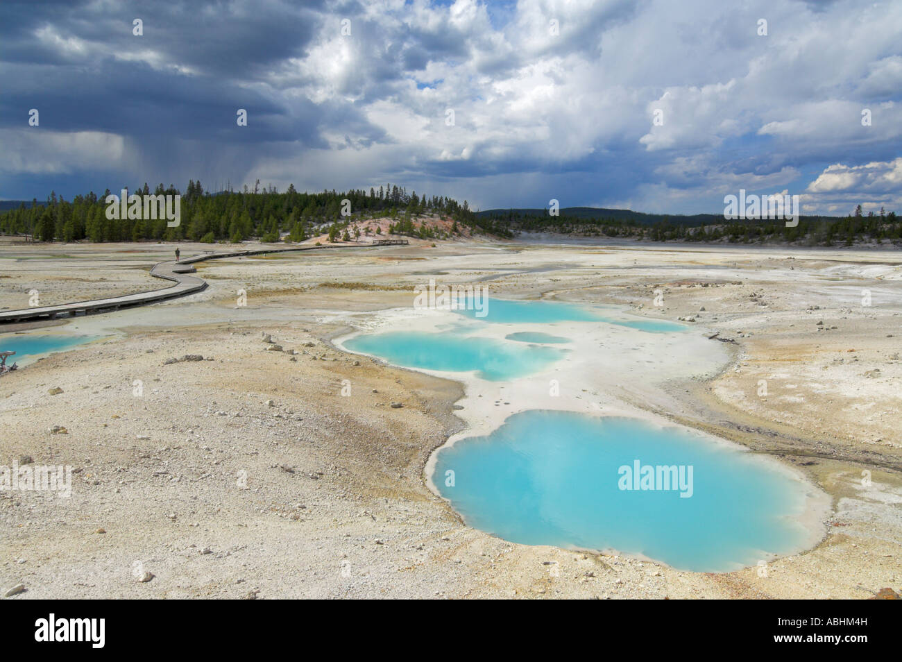 Lavabo en porcelaine en pools de Norris Geyser basin le Parc National de Yellowstone au Wyoming USA États-Unis d'Amérique Banque D'Images