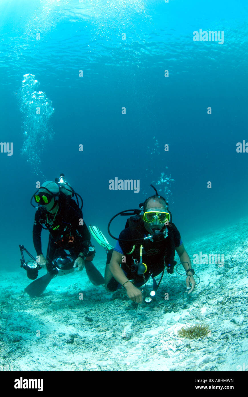 Les plongeurs et photographe à Raja Ampat Banque D'Images