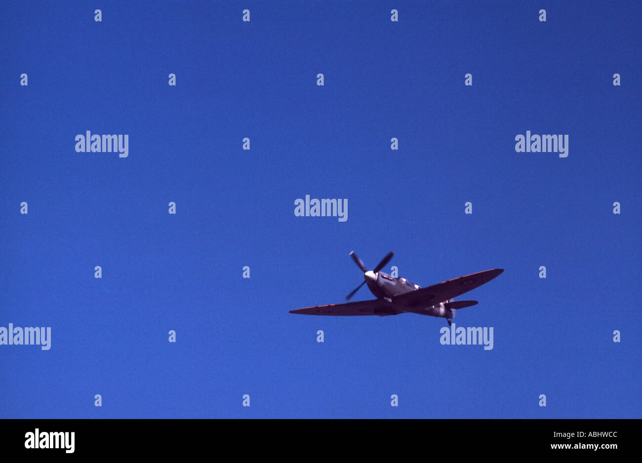 Supermarine Spitfire en vol contre un ciel bleu profond. Banque D'Images