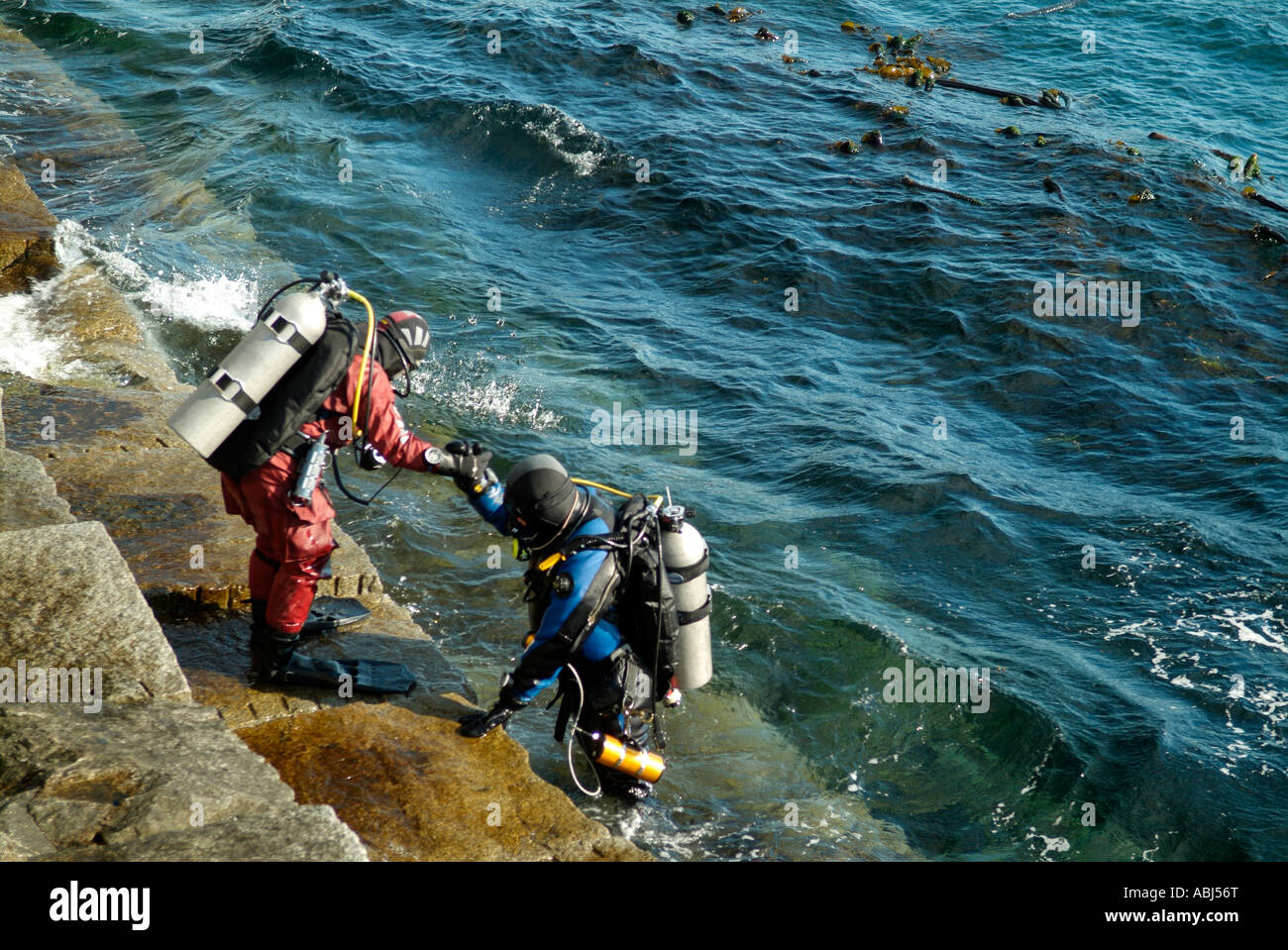 Divers prêt à plonger dans le sud de l'île de Vancouver Banque D'Images