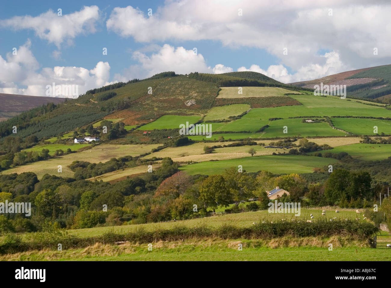 Campagne Co Wicklow Irlande Banque D'Images