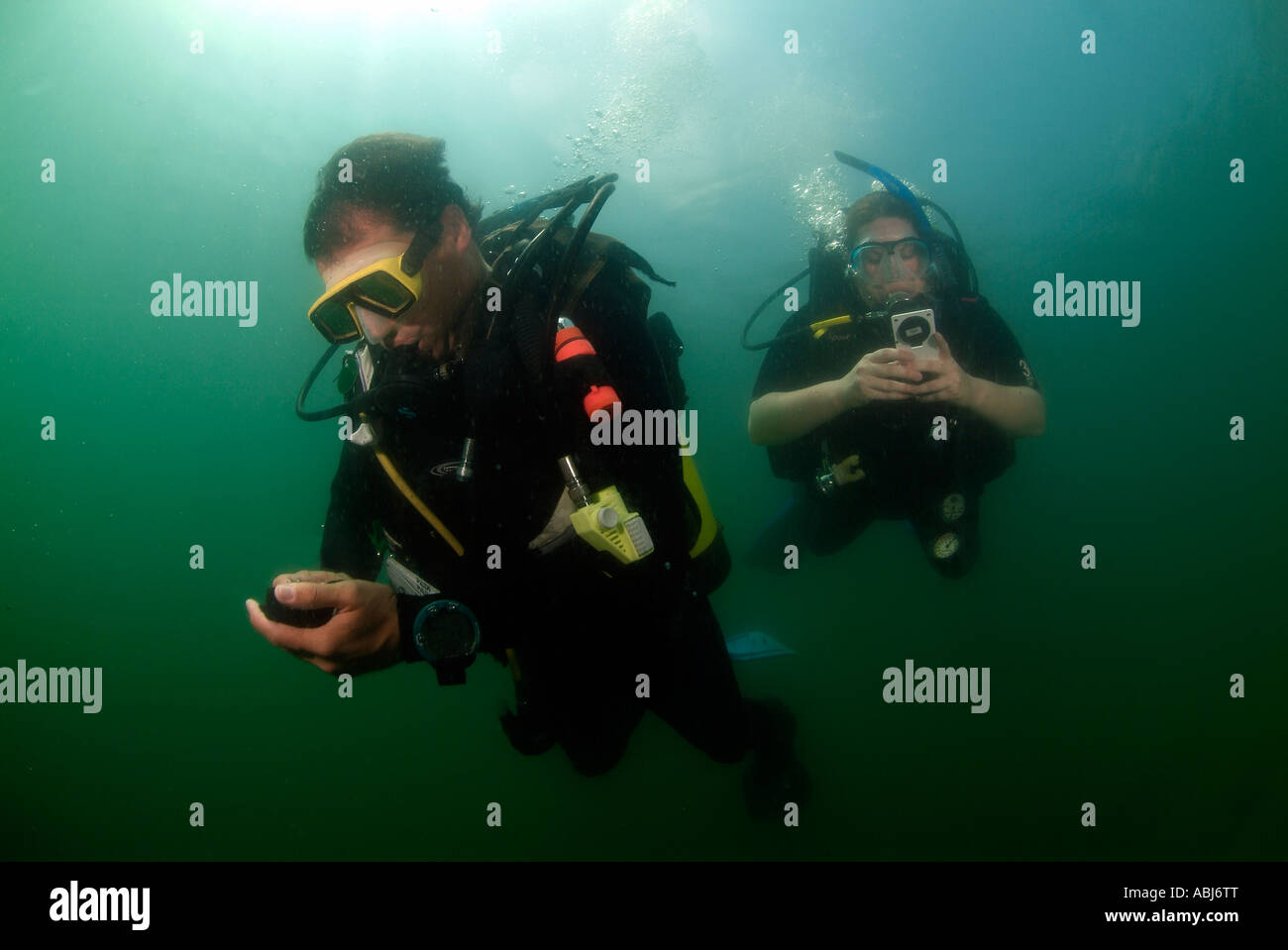 Les amateurs de plongée sous-marine dans le lac de Clear Spring au Texas United States Banque D'Images