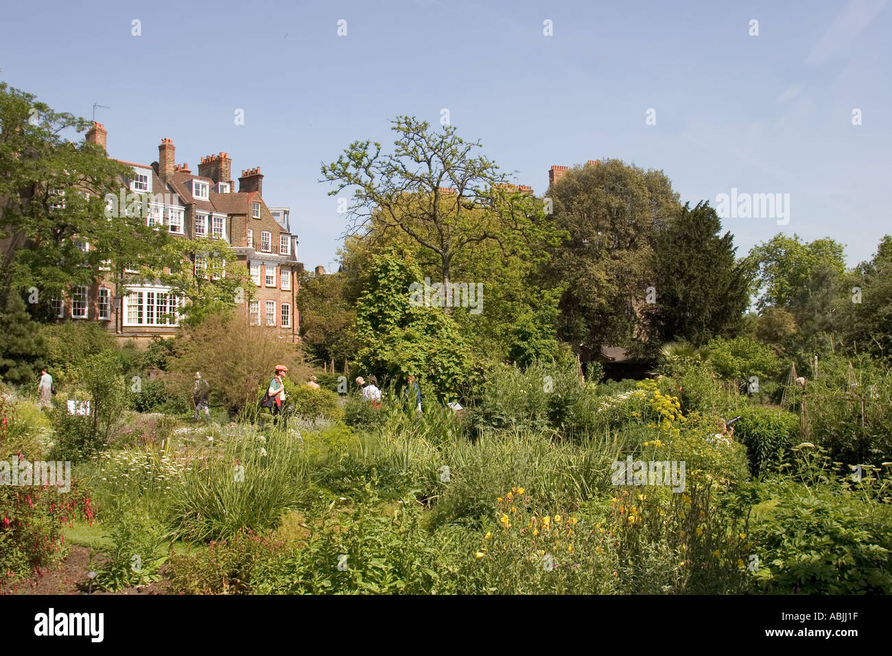 Chelsea Physic Garden London England UK Banque D'Images