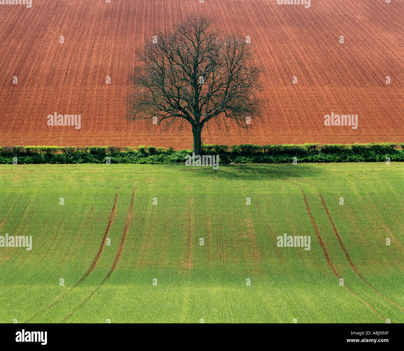 Go - GLOUCESTERSHIRE : l'automne dans les Cotswolds Banque D'Images