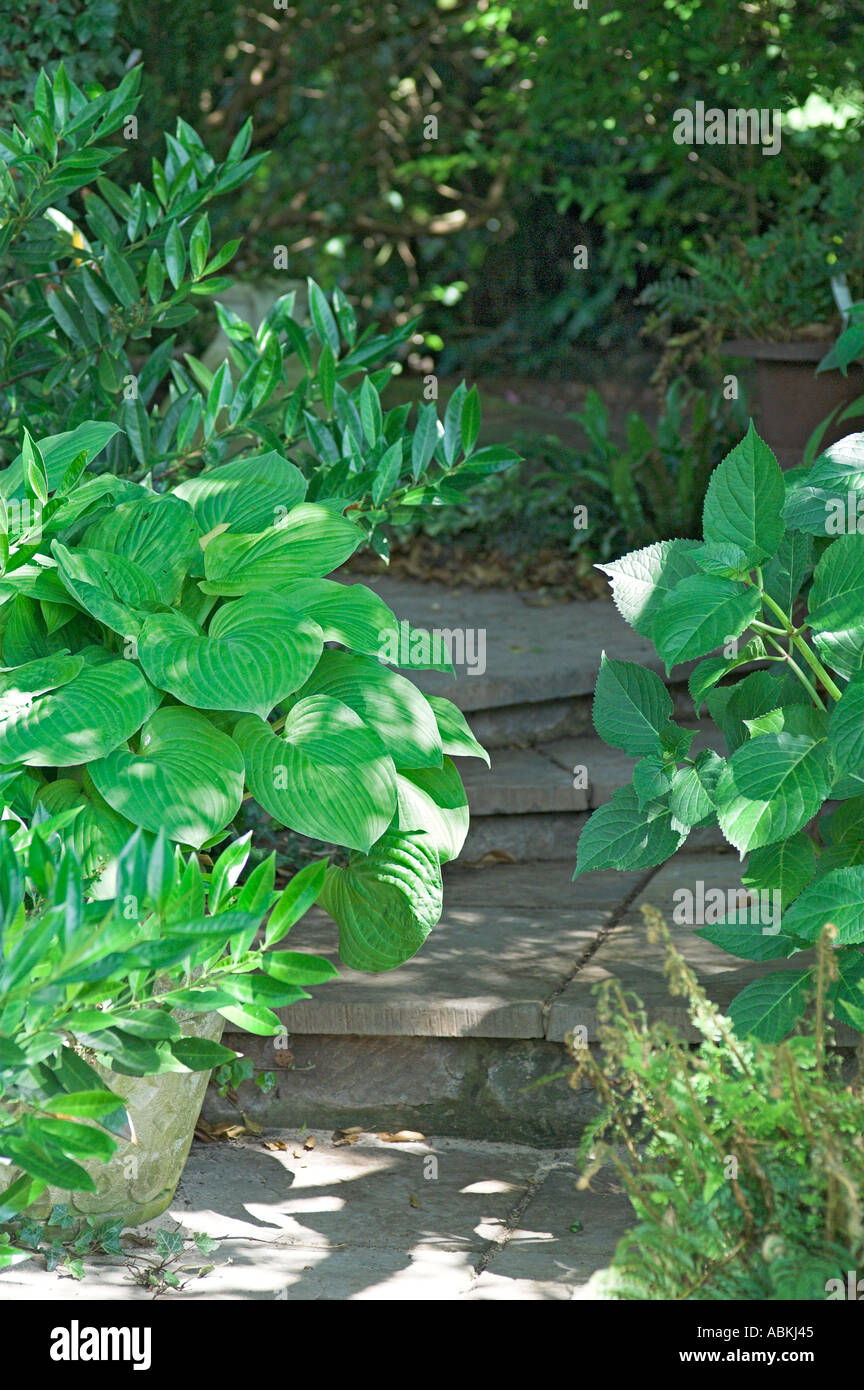 Jardin anglais avec des étapes de jardin Banque D'Images