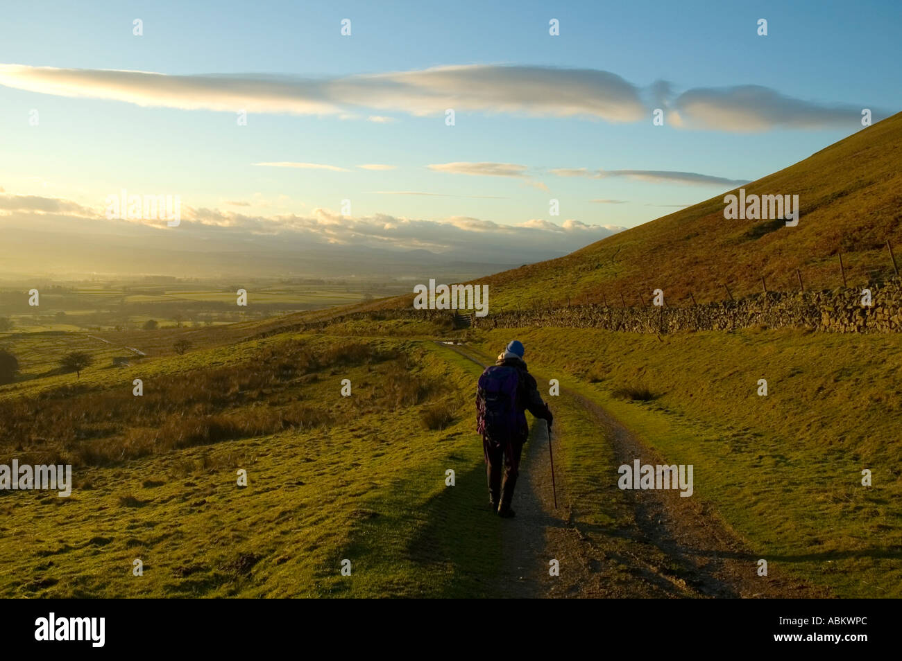À la recherche sur la vallée d'Eden d'une ferme au-dessus de la voie Carpini dans le Nord de la Pennines, près de Penrith, Cumbria, England, UK Banque D'Images
