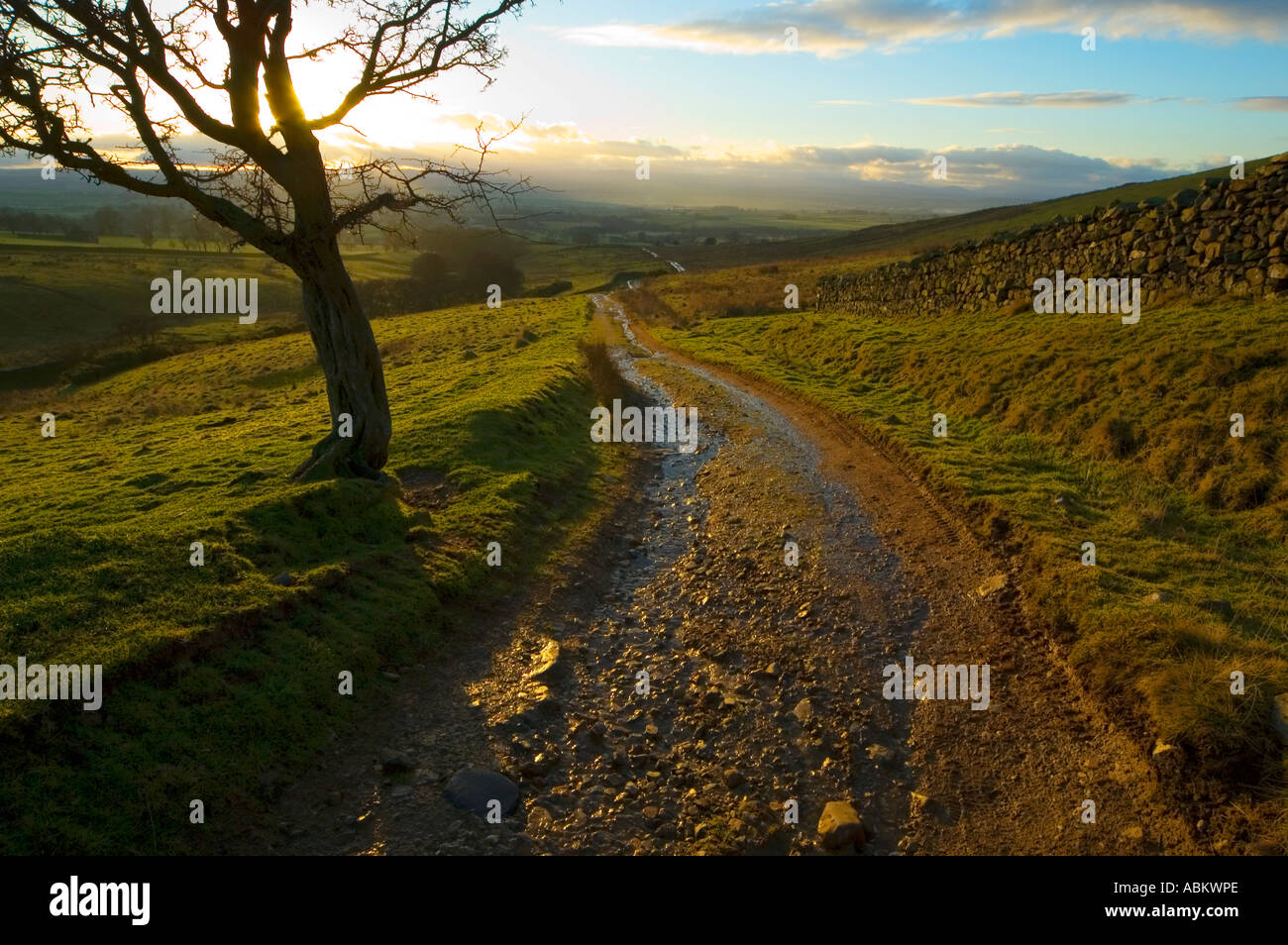 À la recherche sur la vallée d'Eden d'une ferme au-dessus de la voie Carpini dans le Nord de la Pennines, près de Penrith, Cumbria, England, UK Banque D'Images